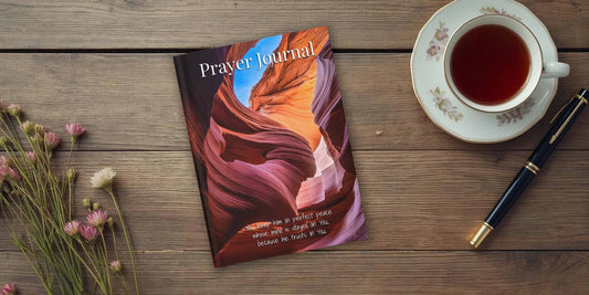 The Moment I Finally Found Lady in the Wind, and the Lesson God Taught Me About Seeing