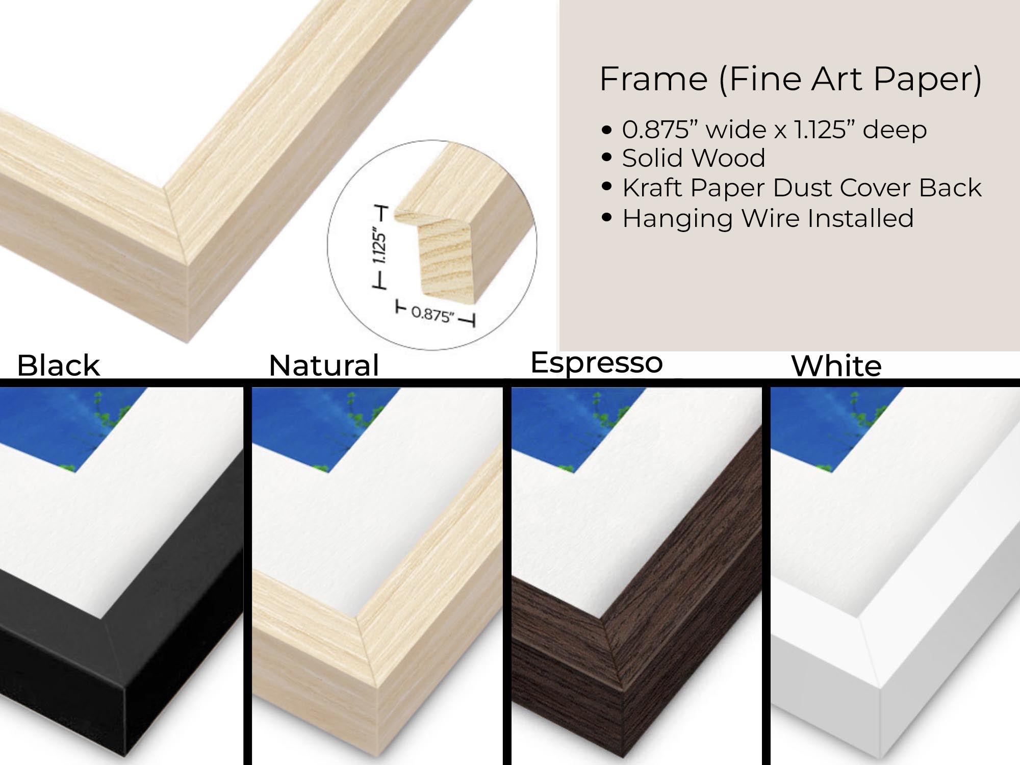 Fine Art paper picture frame product graphic showing a close-up of a natural color frame, text listing frame specs, and four color options labeled Black, Natural, Espresso, and White.