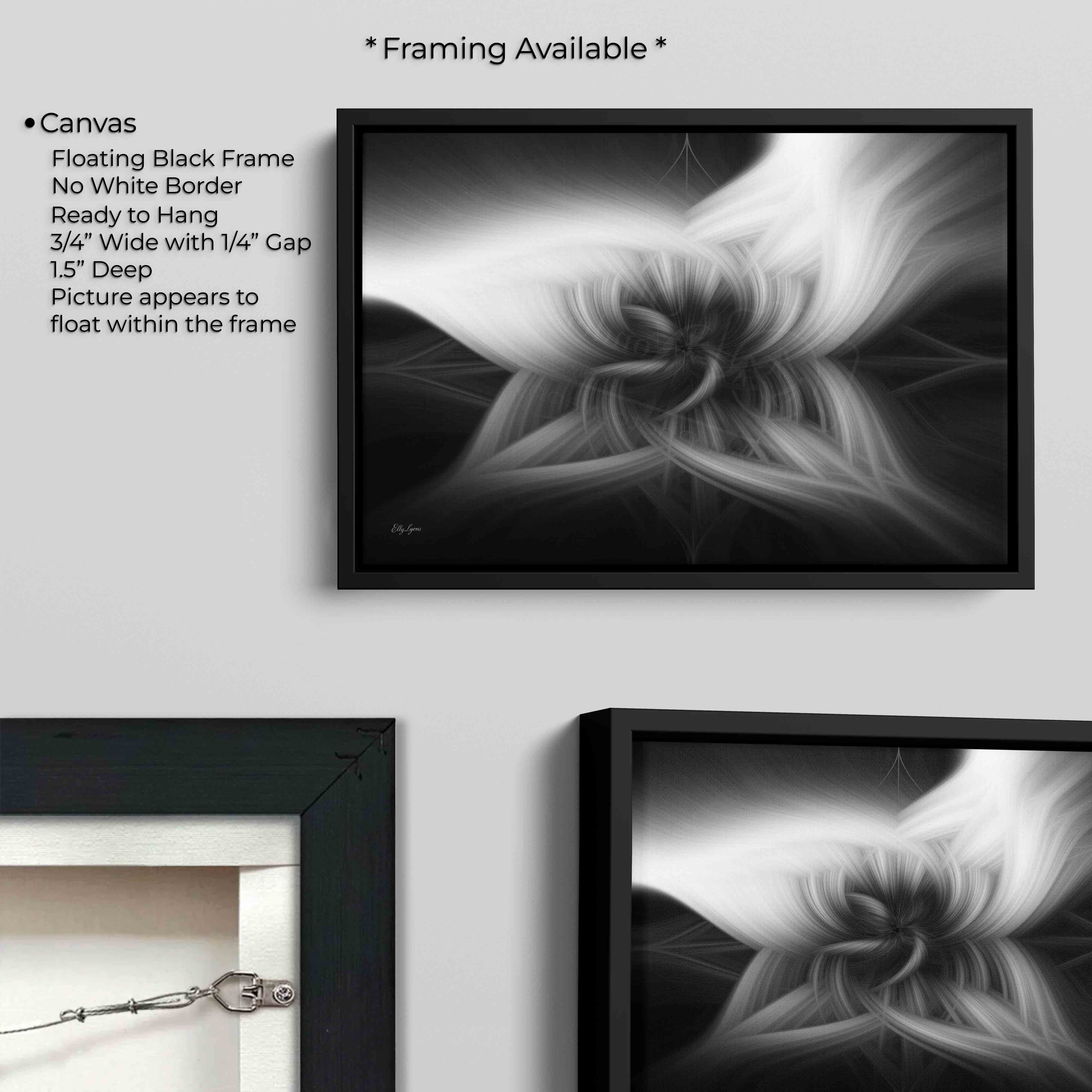 Abstract Black & White "Grace In The Shadows"