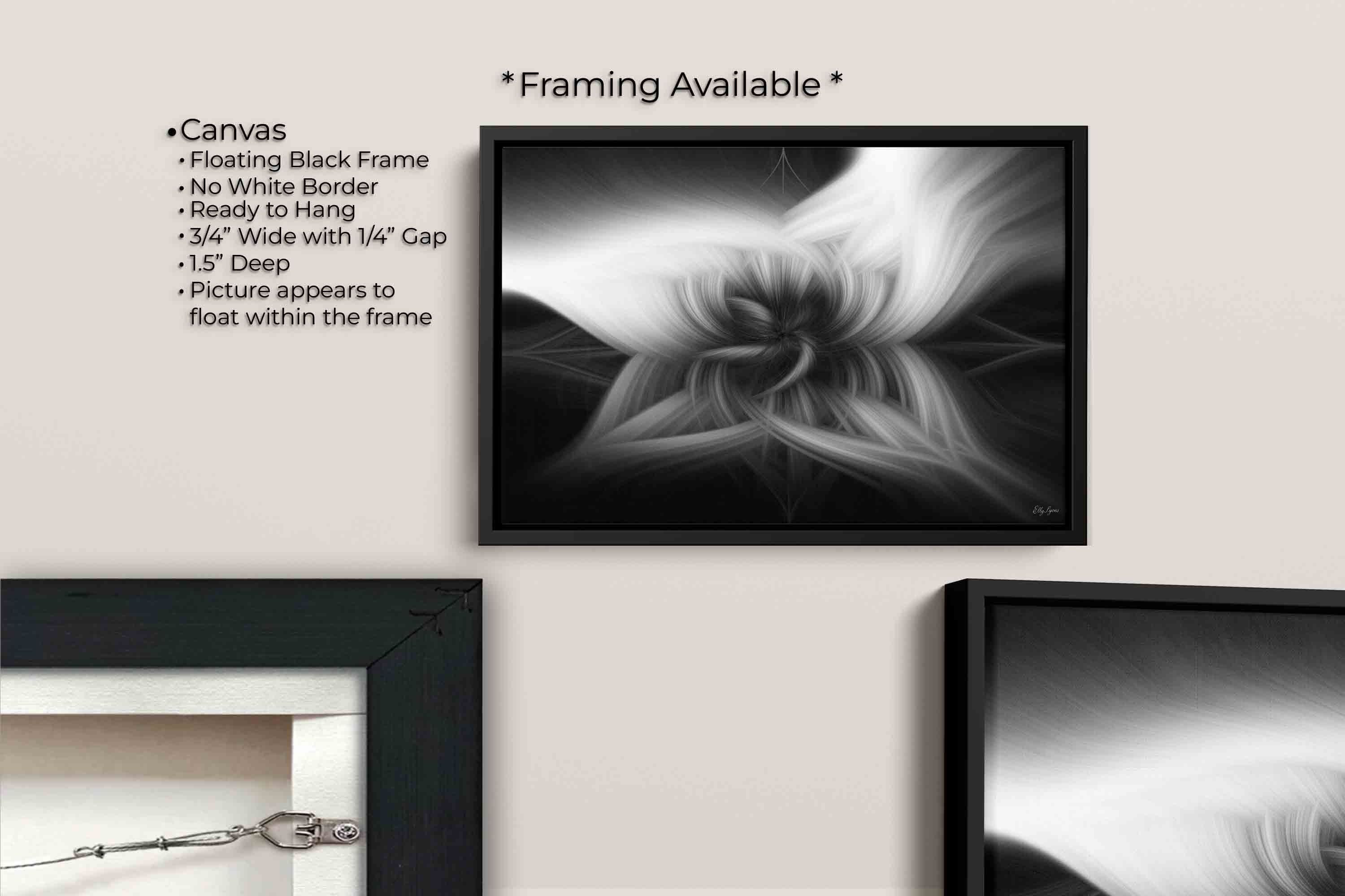Abstract Black & White "Grace In The Shadows"