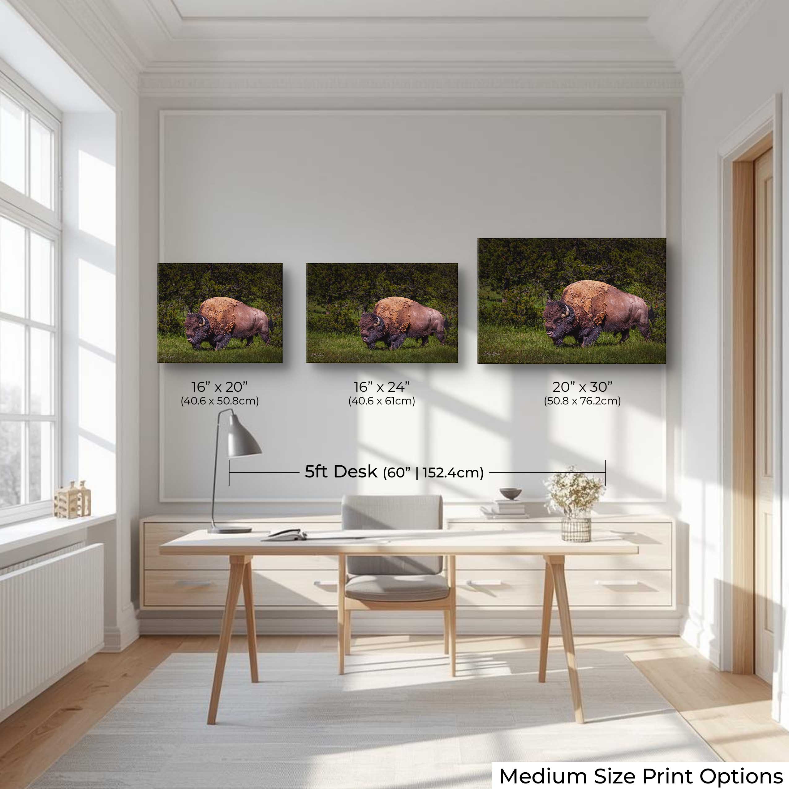 American Bison “Unbroken Strength”