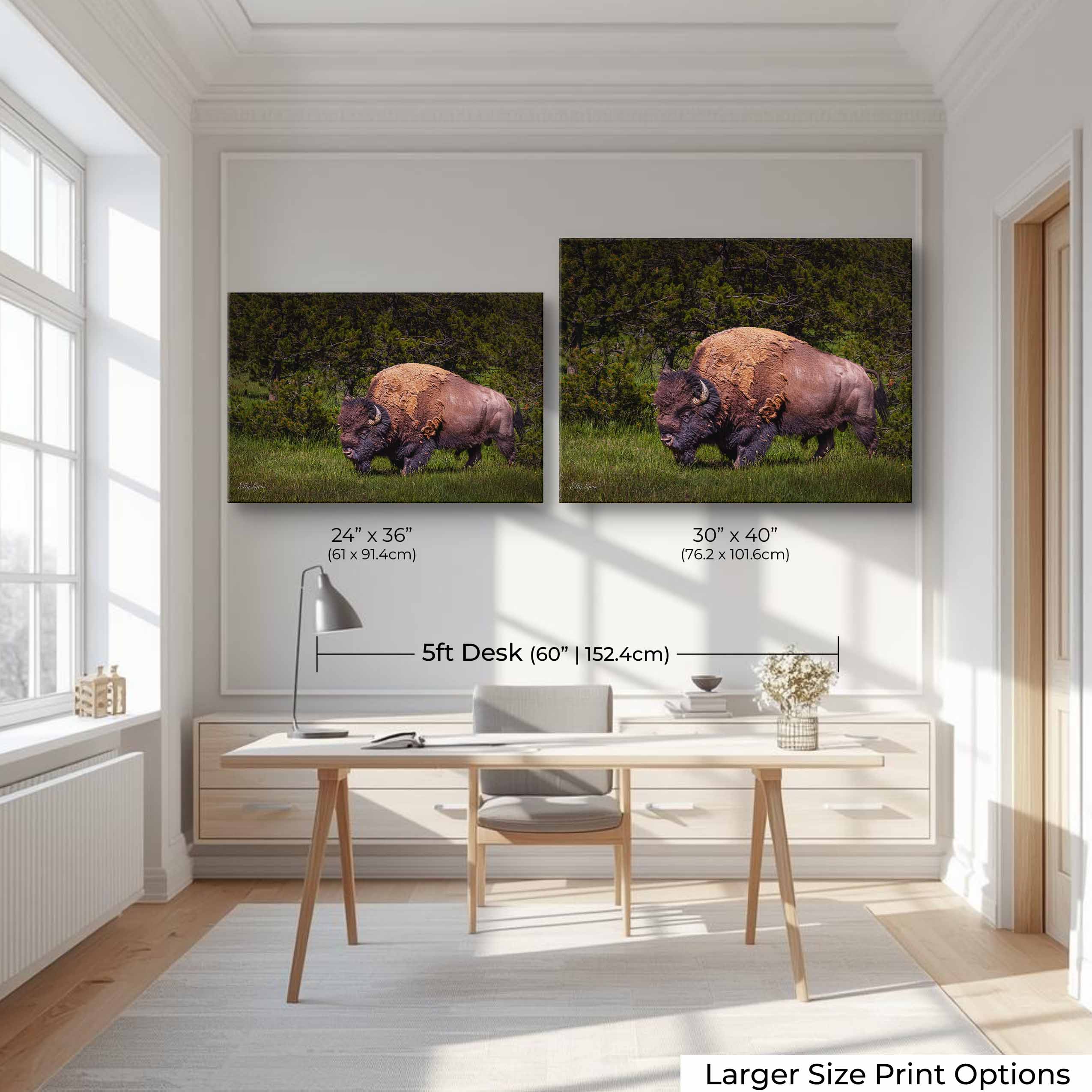 American Bison “Unbroken Strength”