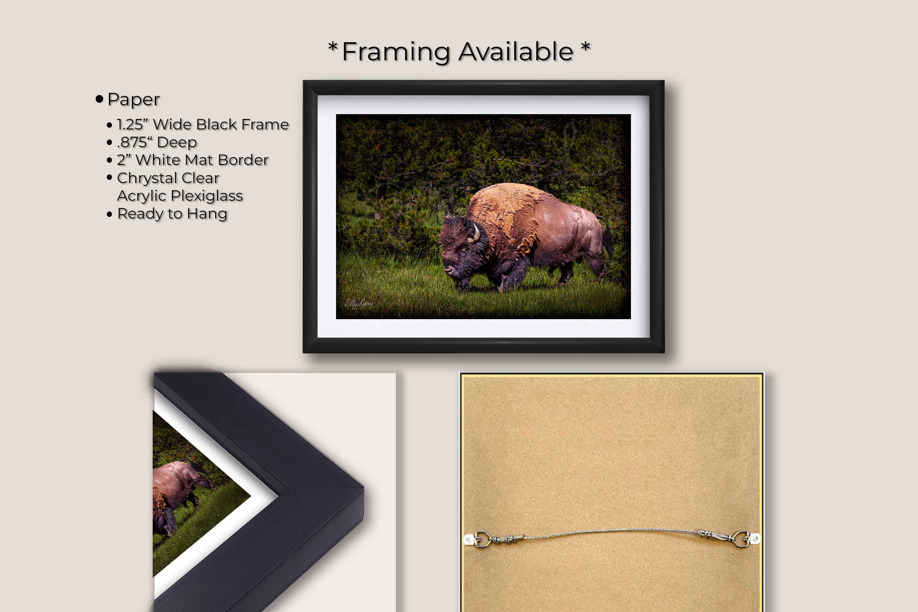 American Bison “Unbroken Strength”