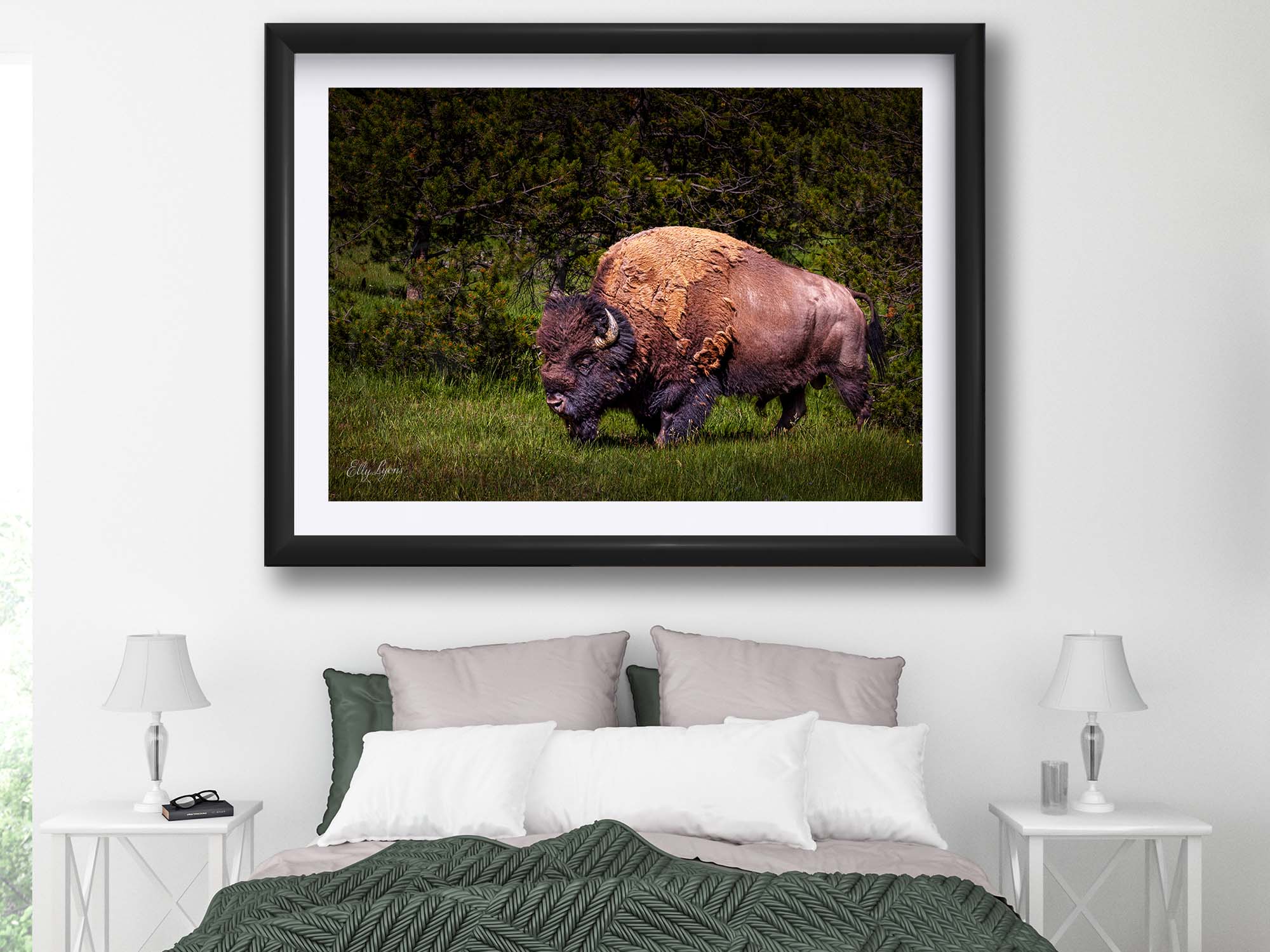 American Bison “Unbroken Strength”