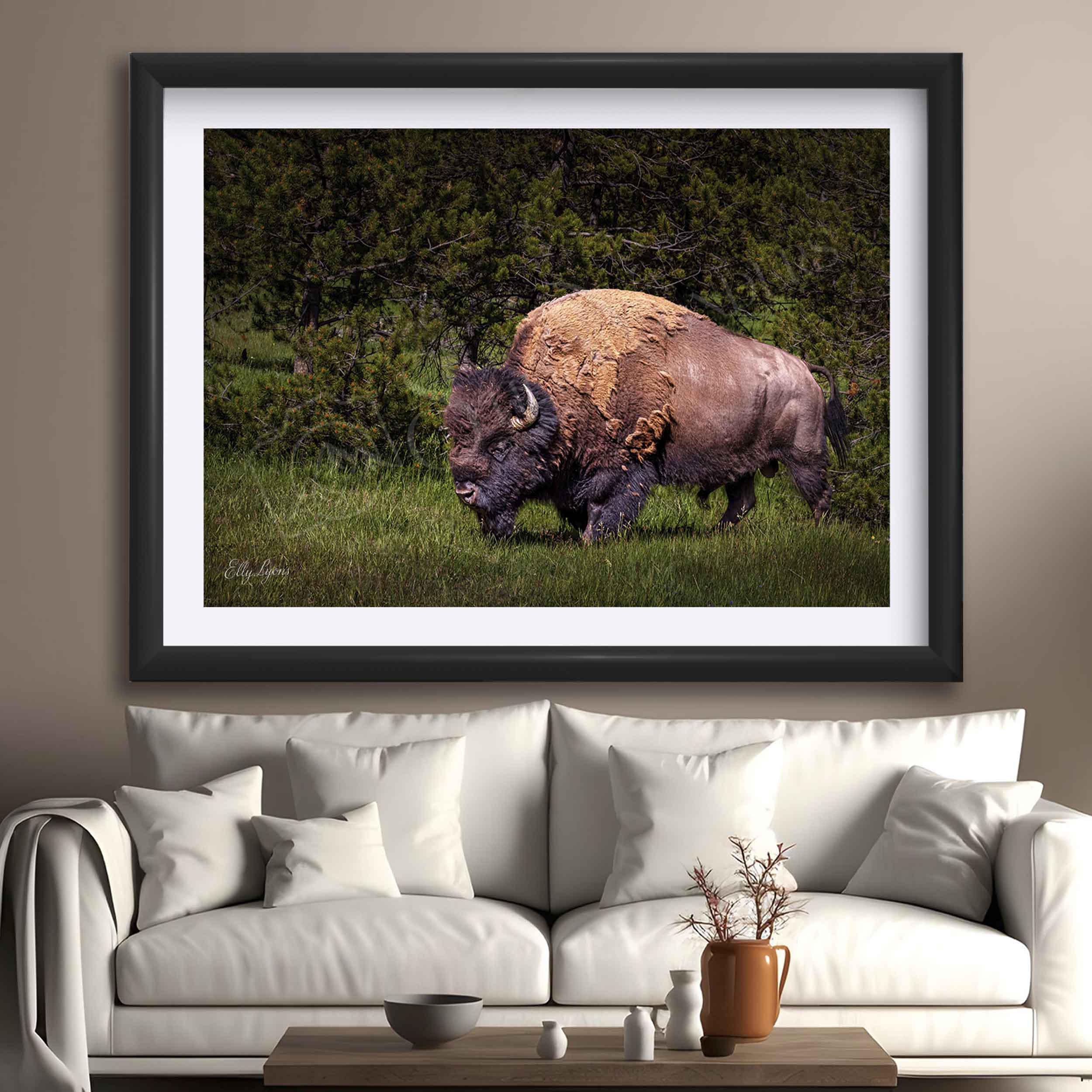 American Bison “Unbroken Strength”