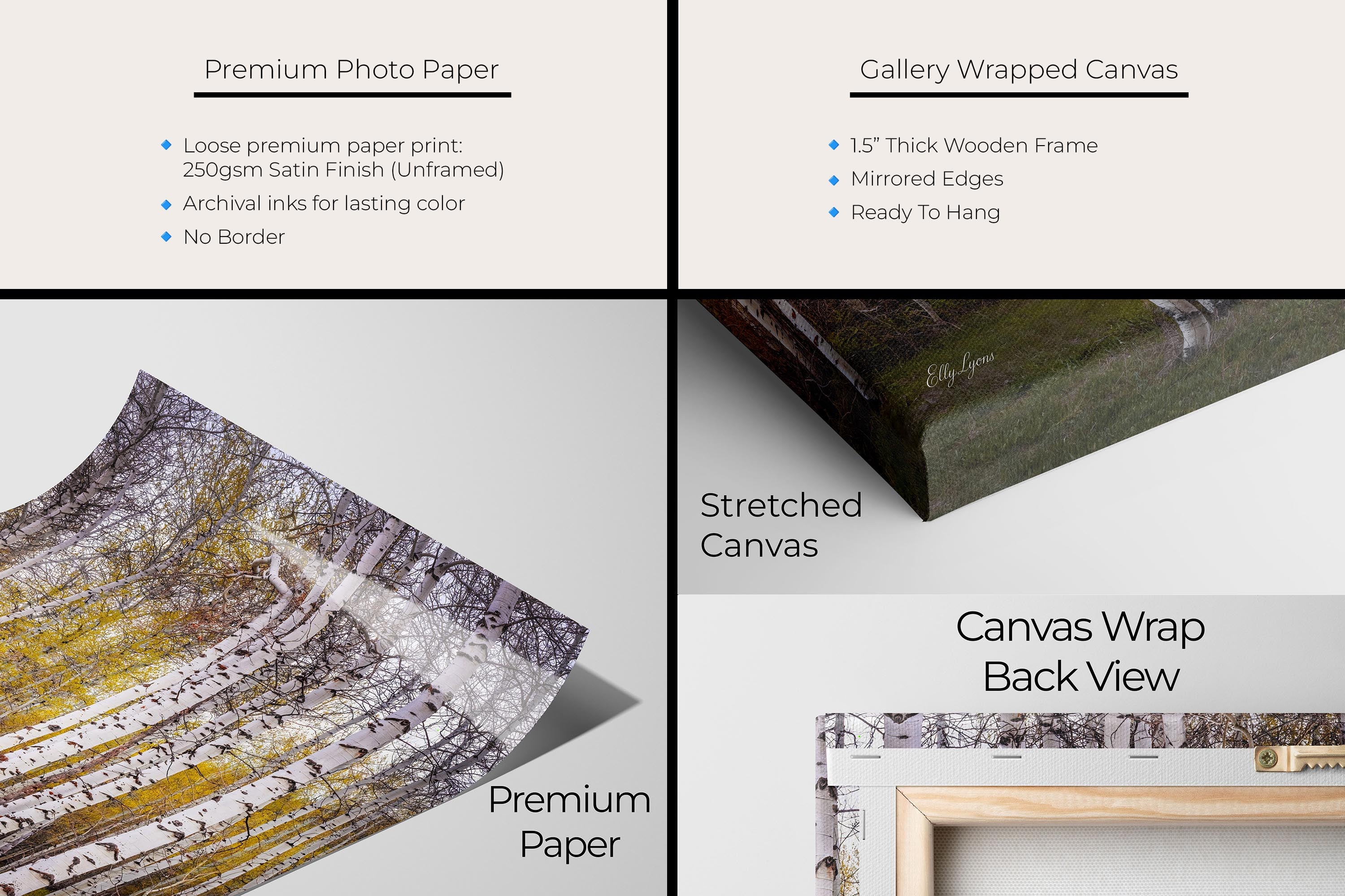 Aspen tree grove in the fall fine art print artwork materials mockup showing premium photo paper and gallery wrapped canvas close up