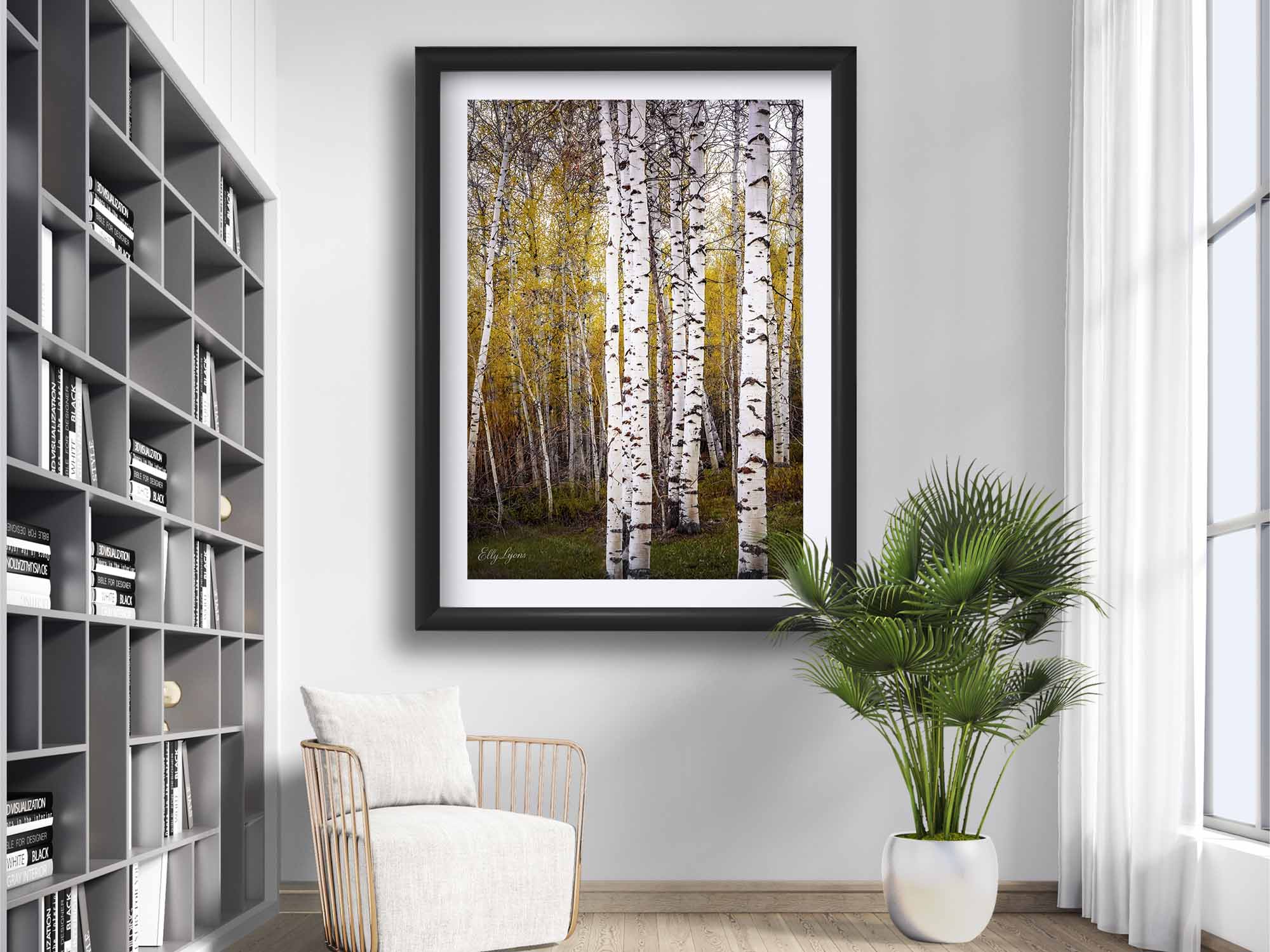 Aspen tree grove in the fall fine art print in black frame styled above a reading chair in a bright home library