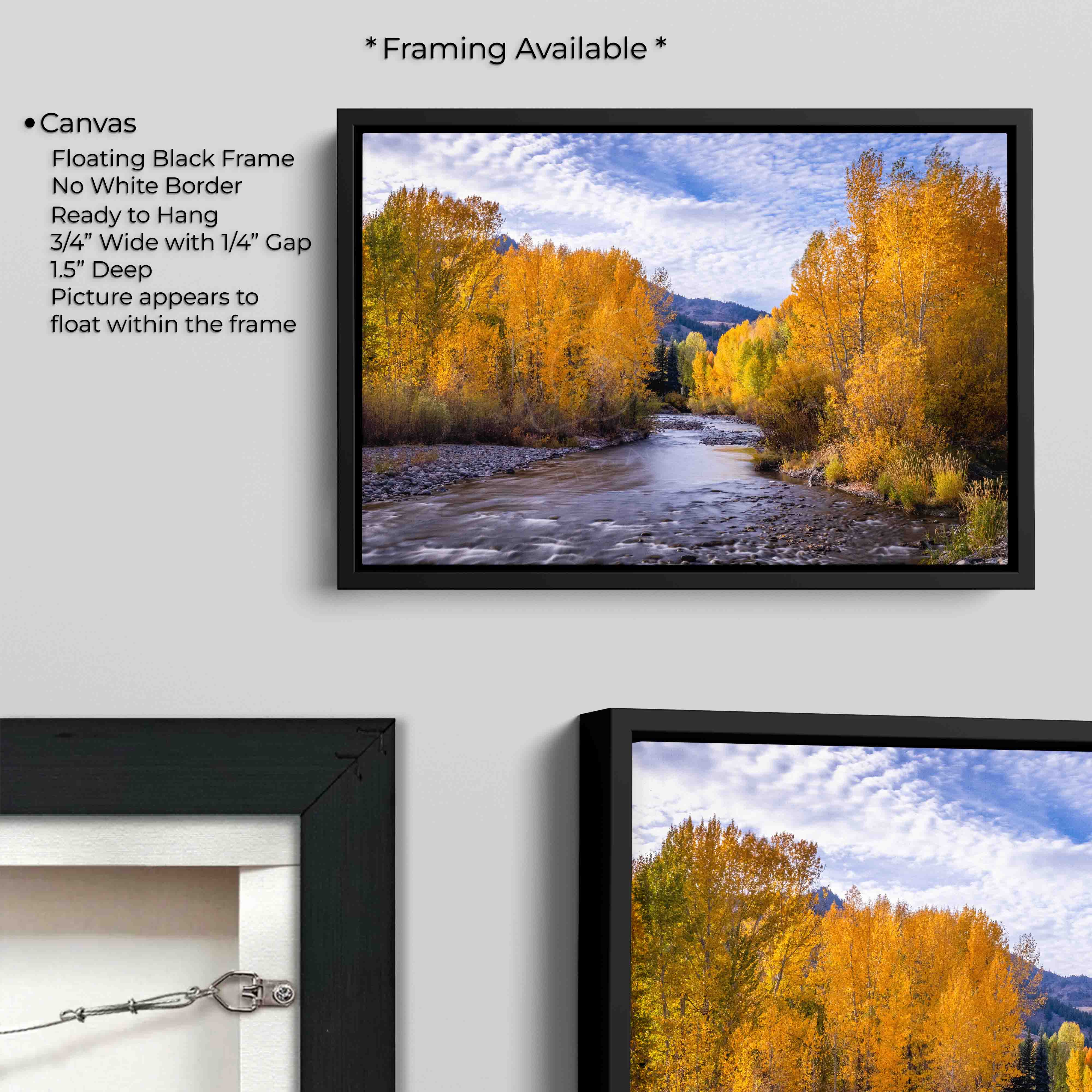 Sun Valley, Idaho “Whispers Through the Aspens”