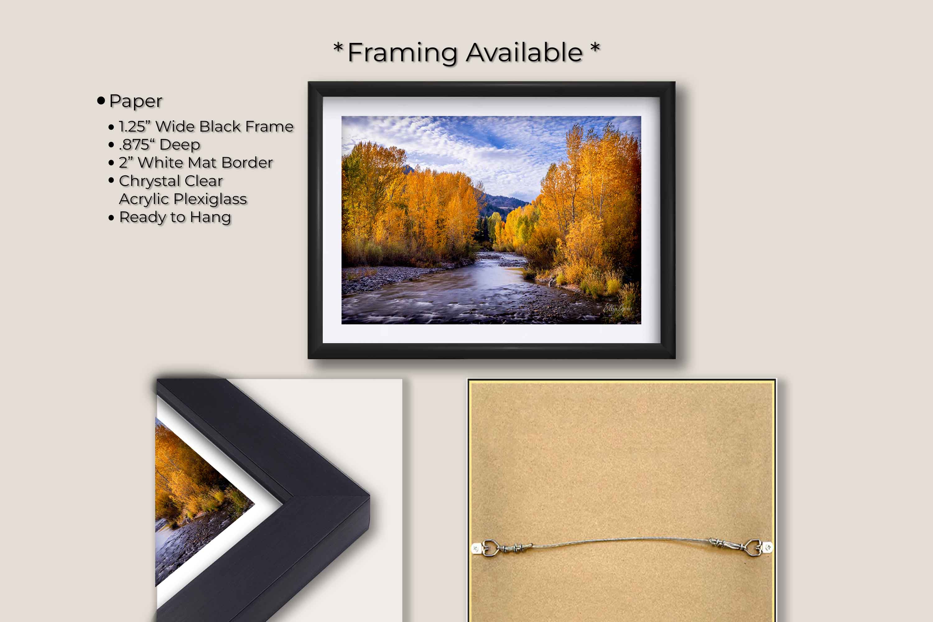 Aspen trees in the fall along Wood River in Sun Valley Idaho fine art print in black frame with white mat, paper and framing option details