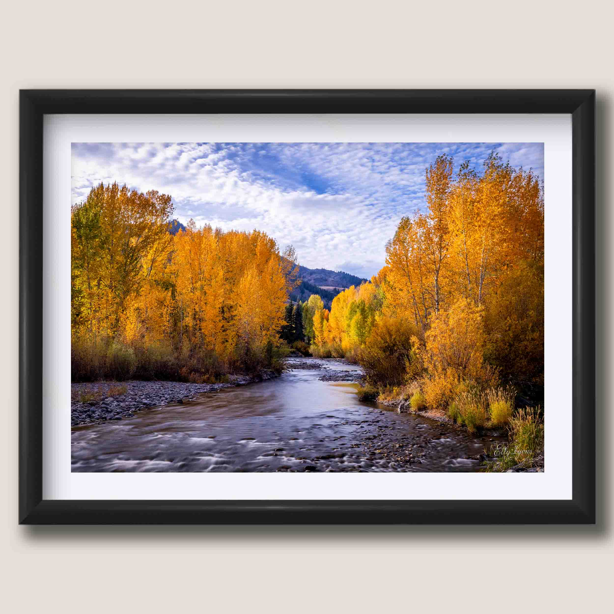 Sun Valley, Idaho “Whispers Through the Aspens”