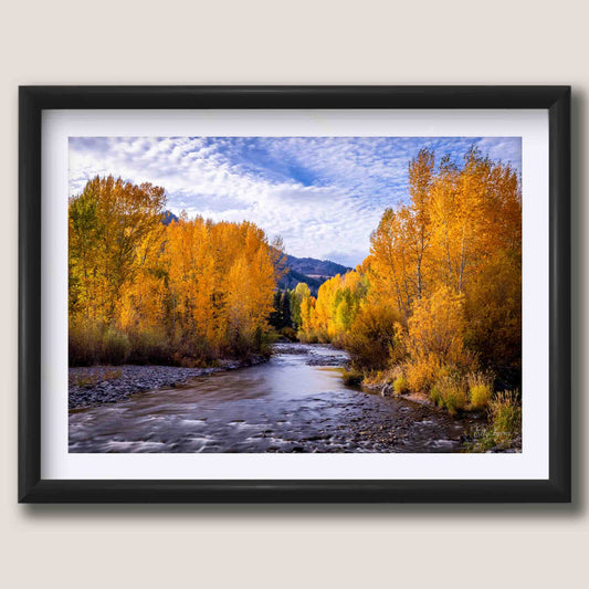 Sun Valley, Idaho “Whispers Through the Aspens”