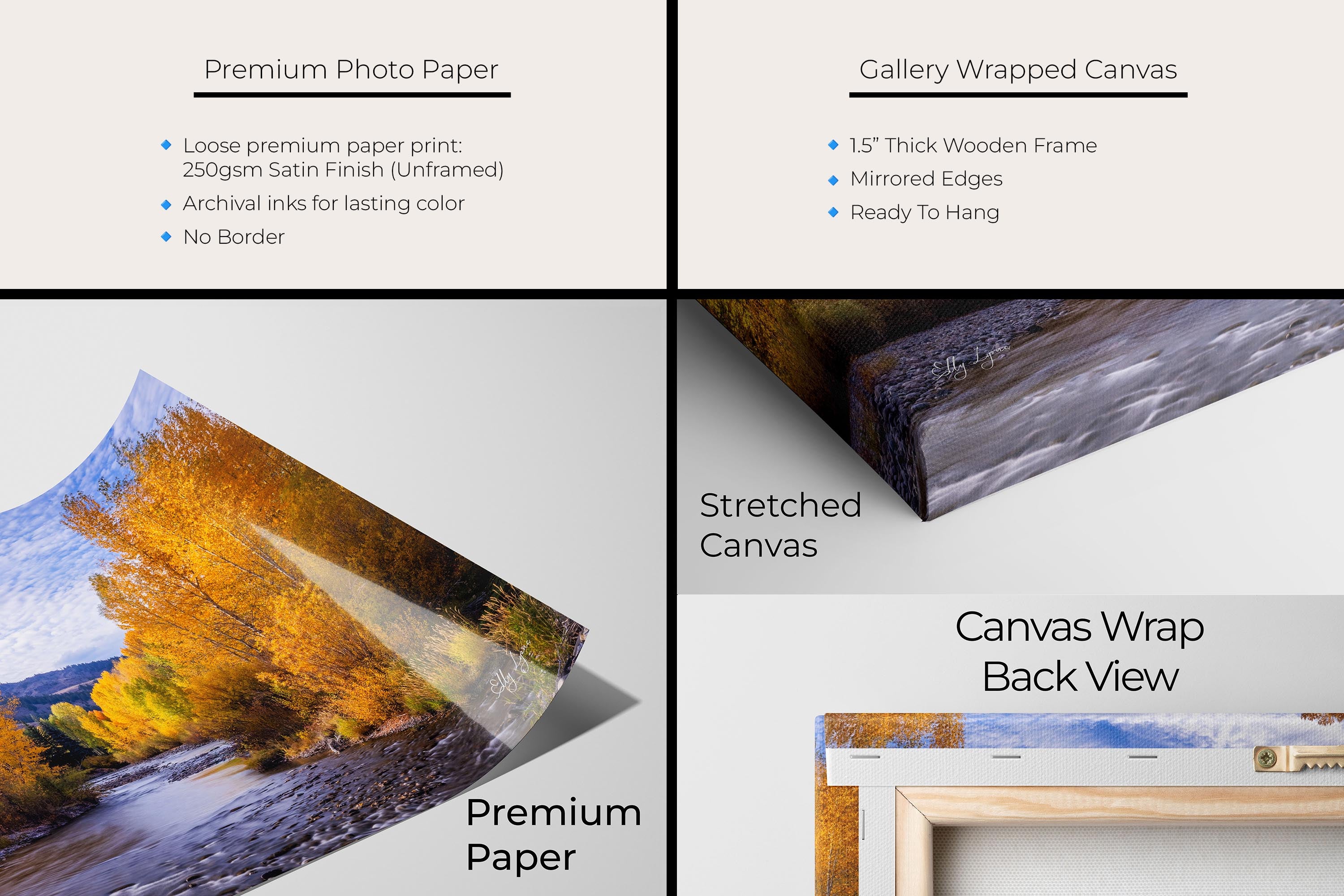 Aspen trees in the fall along Wood River in Sun Valley Idaho fine art print artwork materials mockup showing premium photo paper and gallery wrapped canvas close up