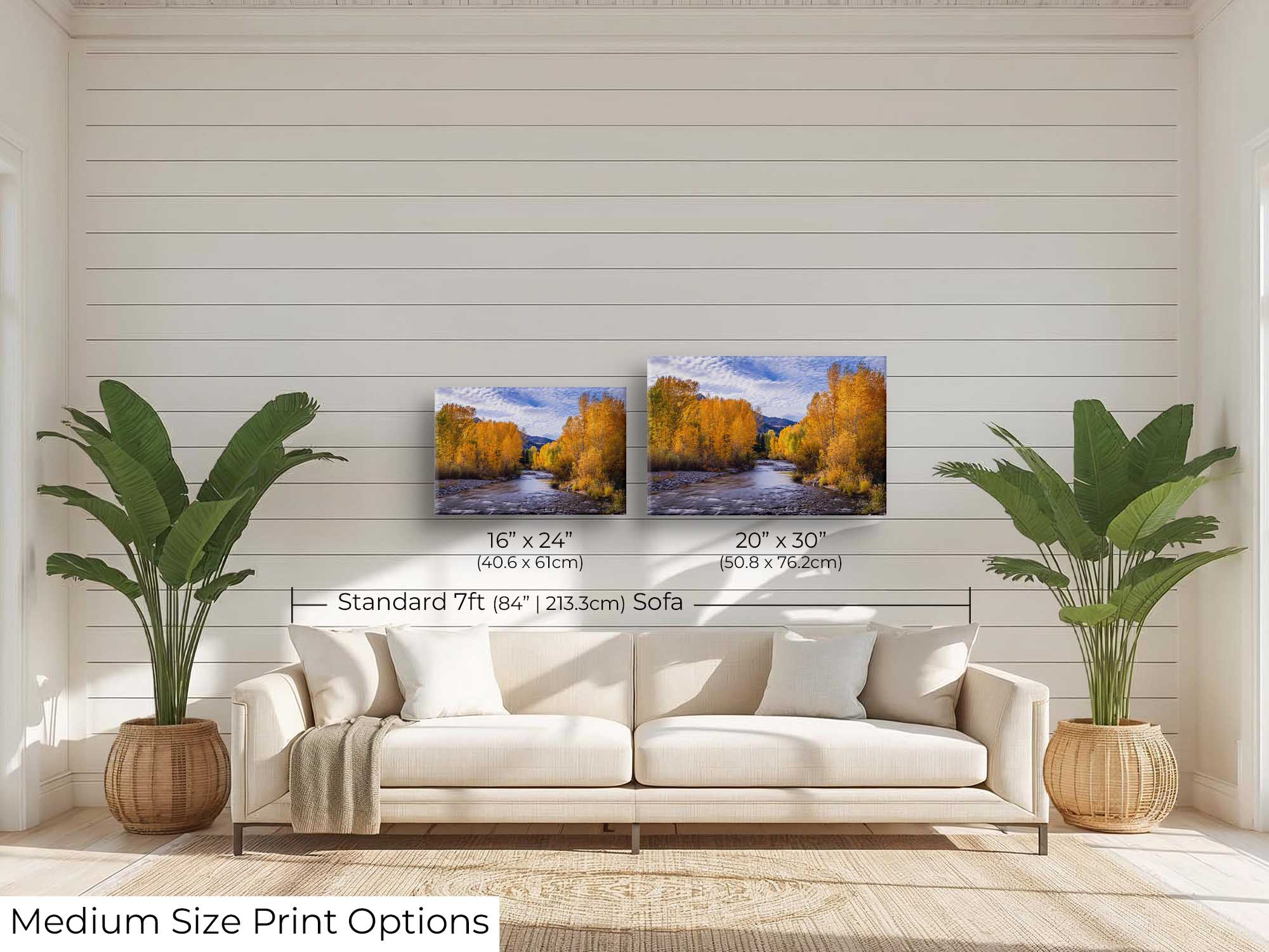 Aspen trees in the fall along Wood River in Sun Valley Idaho fine art print wall art size mockup showing 16x24 and 20x30 inch prints above a seven foot sofa 