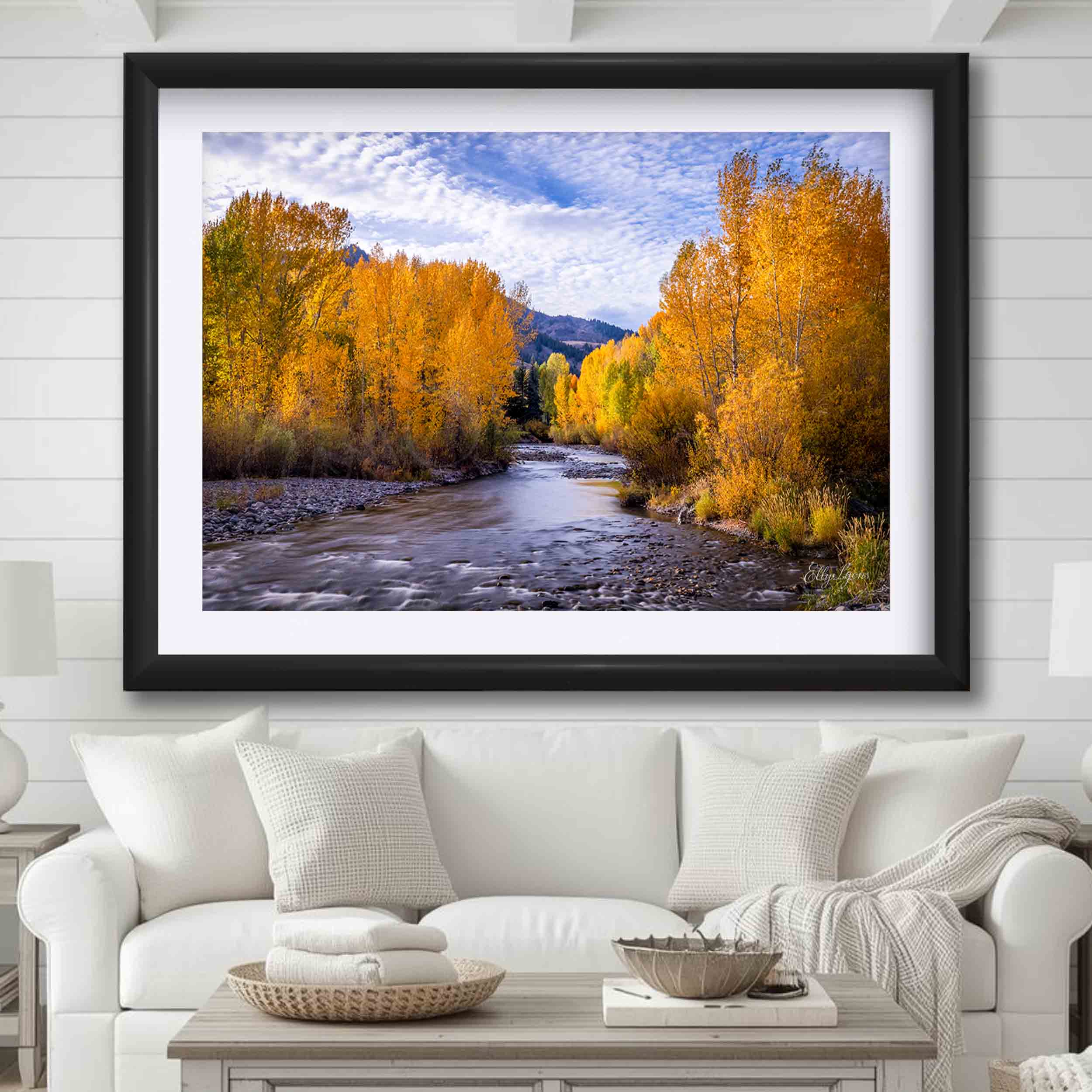 Sun Valley, Idaho “Whispers Through the Aspens”