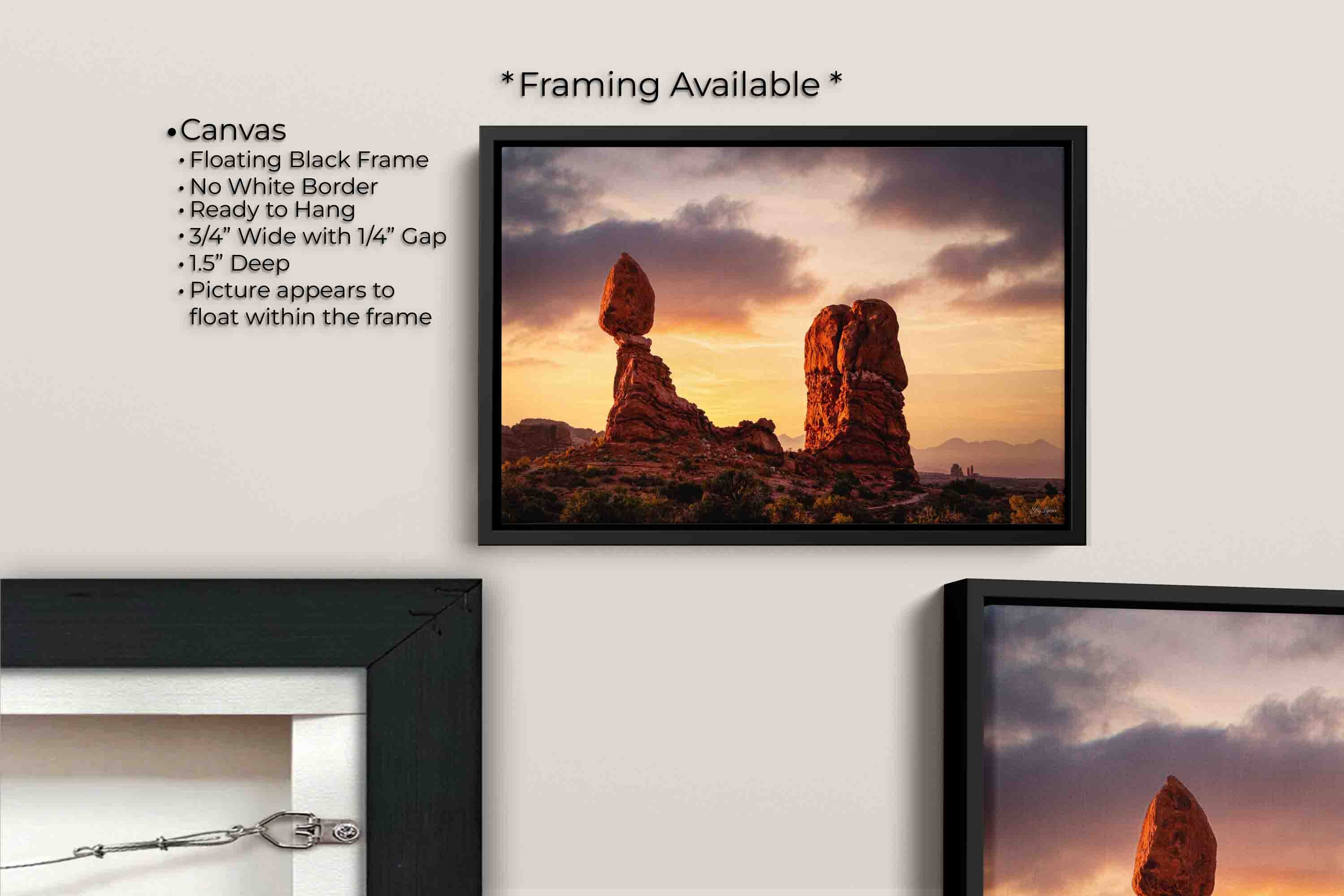 Arches National Park "Desert Wonder"