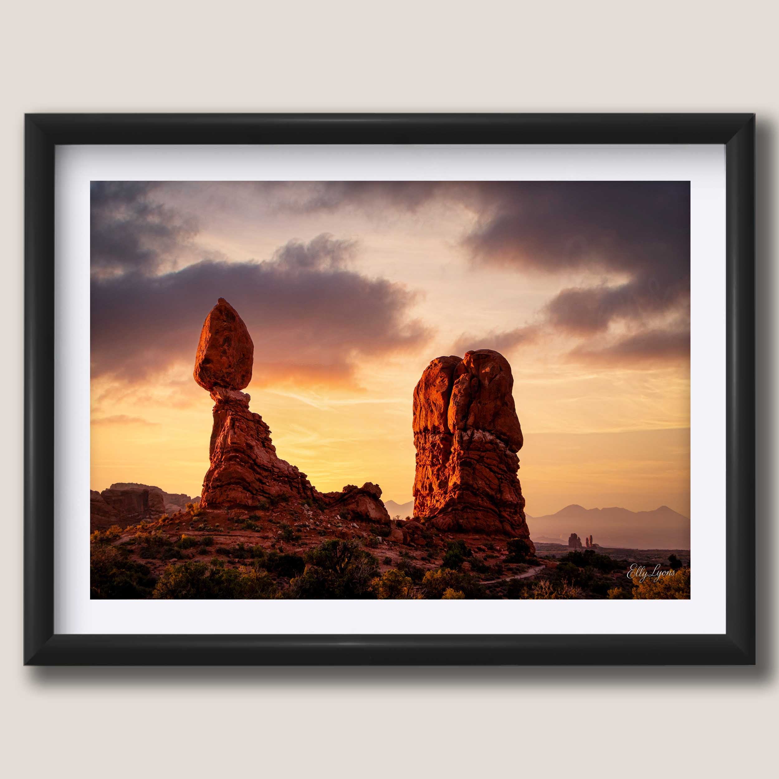 Arches National Park "Desert Wonder"