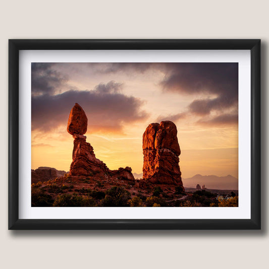 Arches National Park "Desert Wonder"