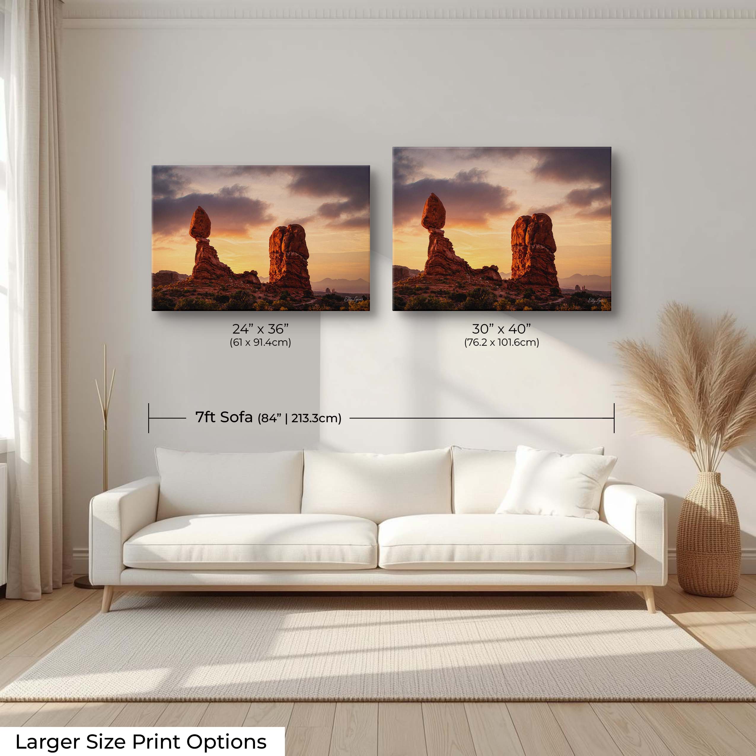 Arches National Park "Desert Wonder"