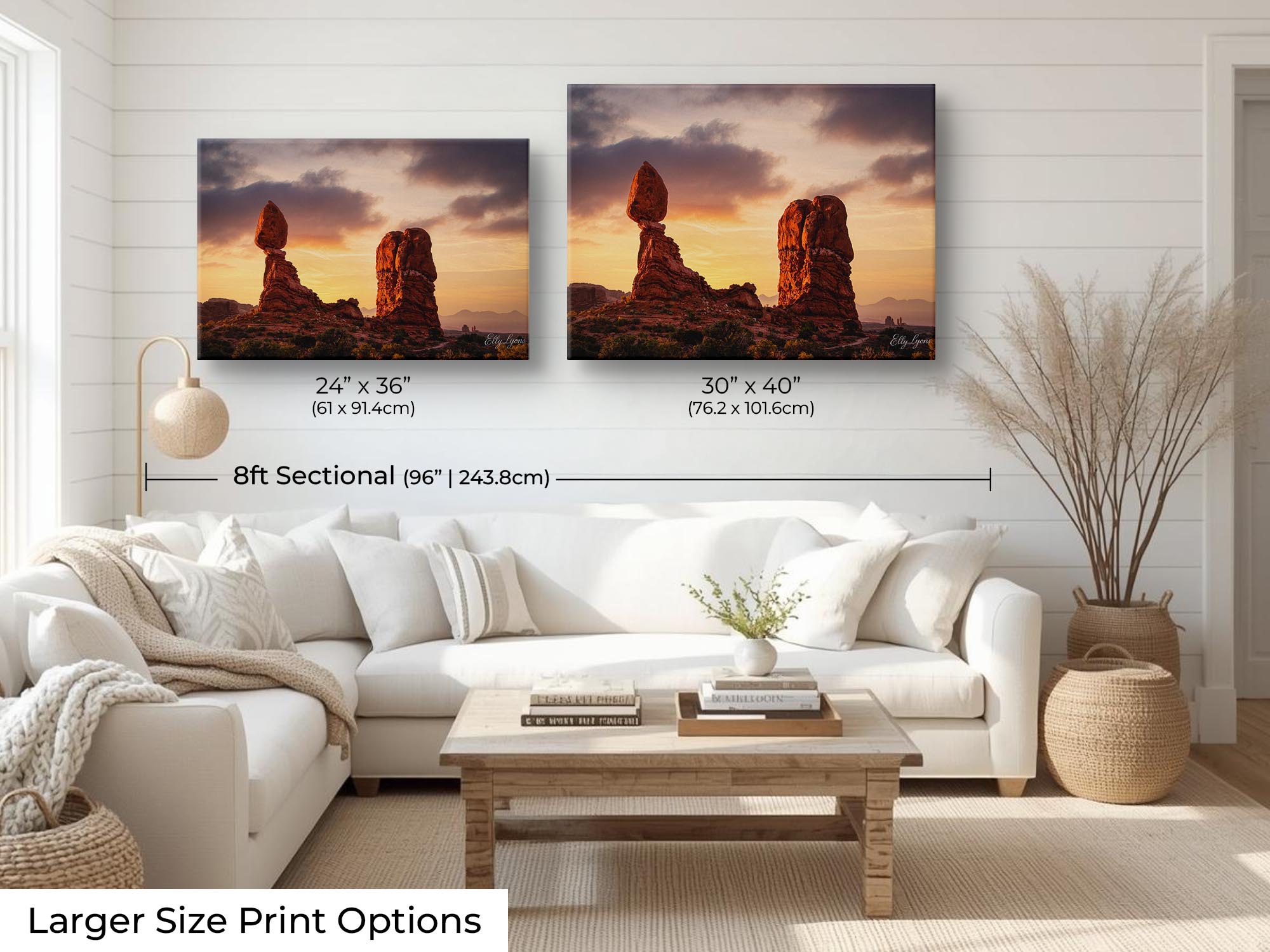 Arches National Park "Desert Wonder"
