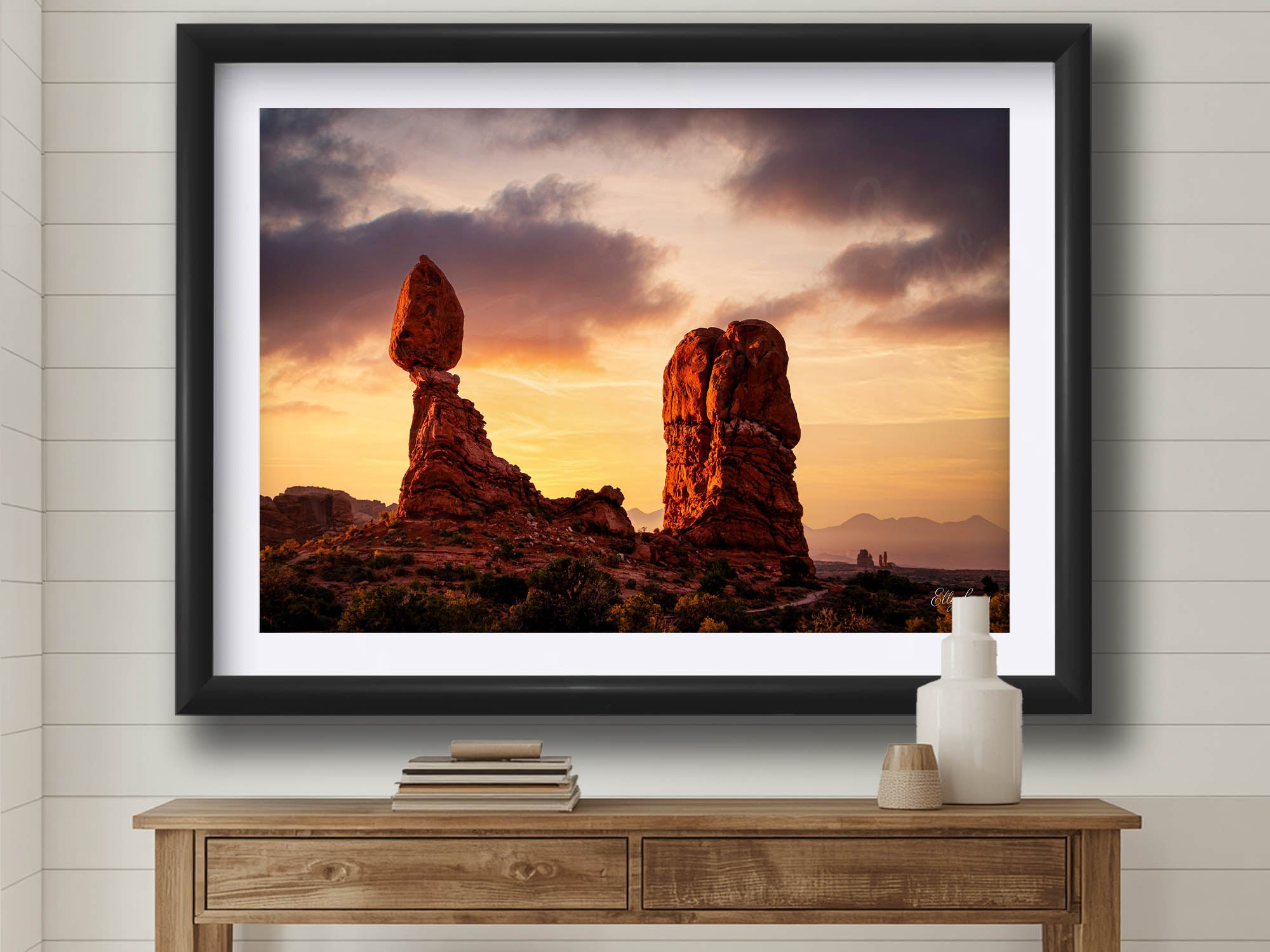 Arches National Park "Desert Wonder"