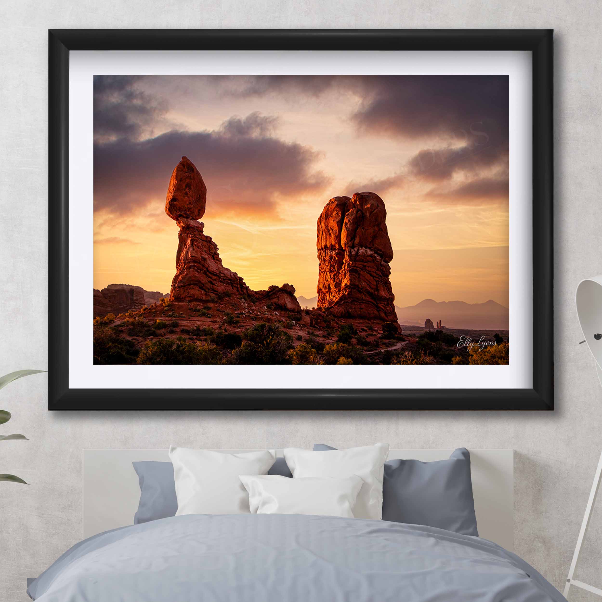 Arches National Park "Desert Wonder"