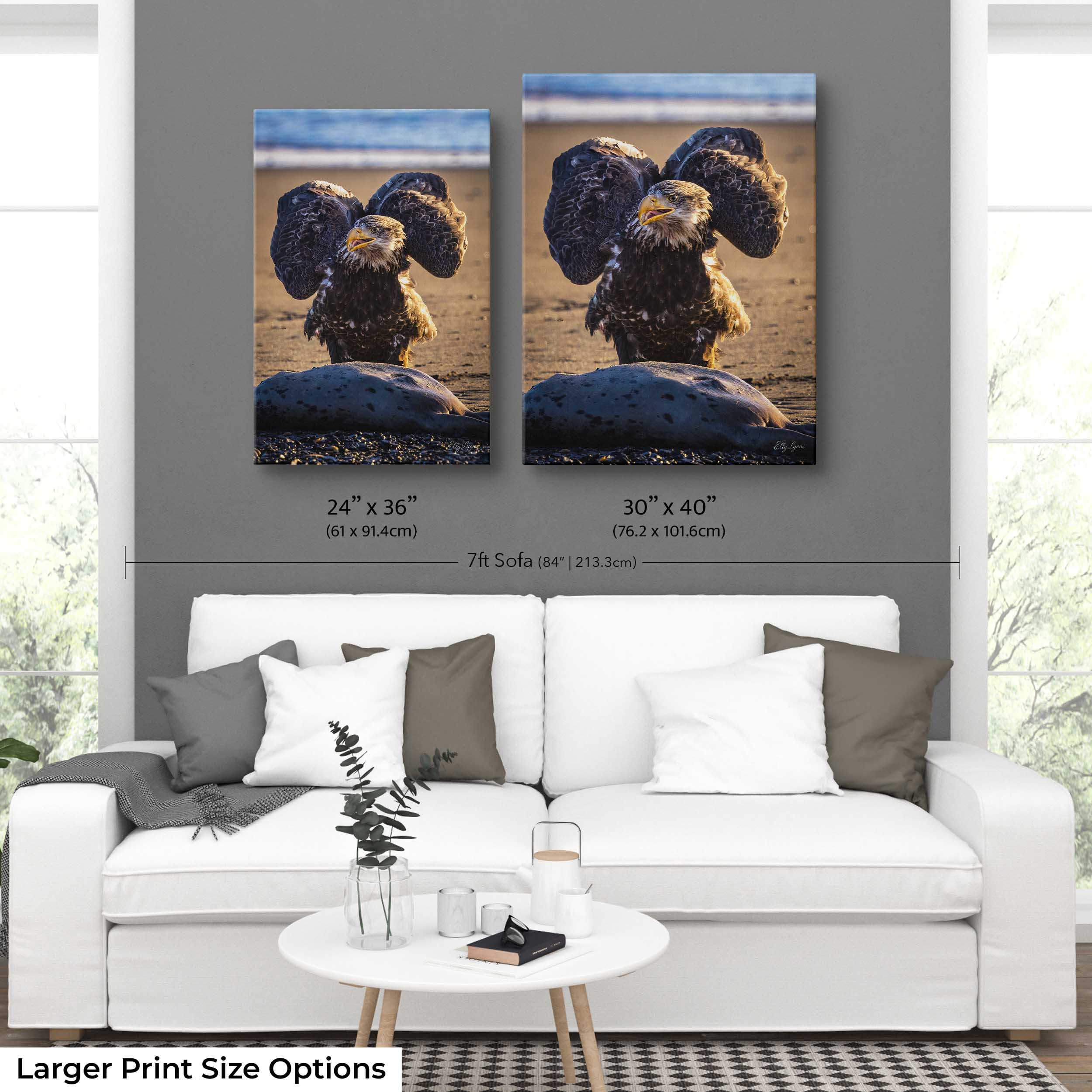 Bald Eagle “Unshaken, Unfailing"