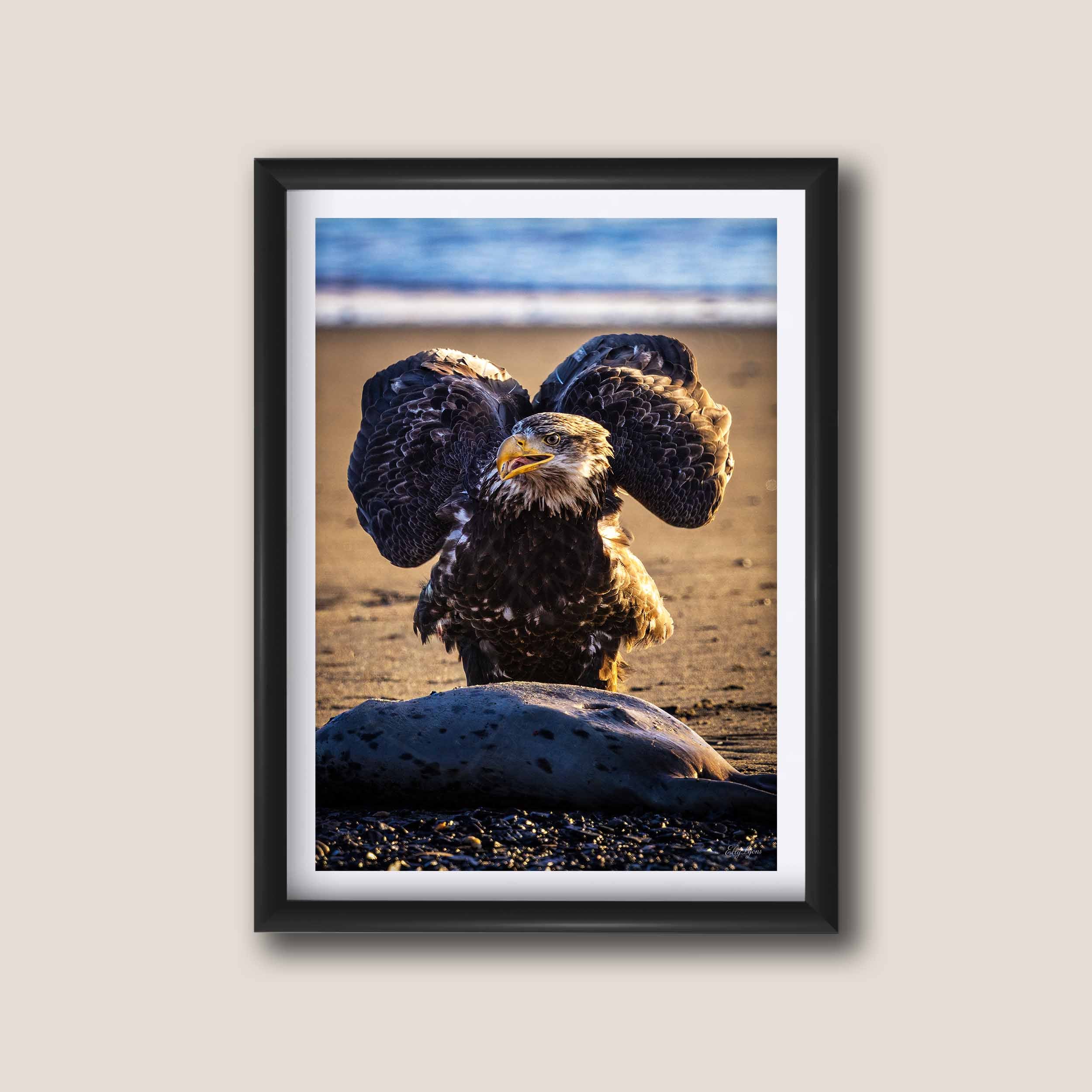 Bald Eagle “Unshaken, Unfailing"