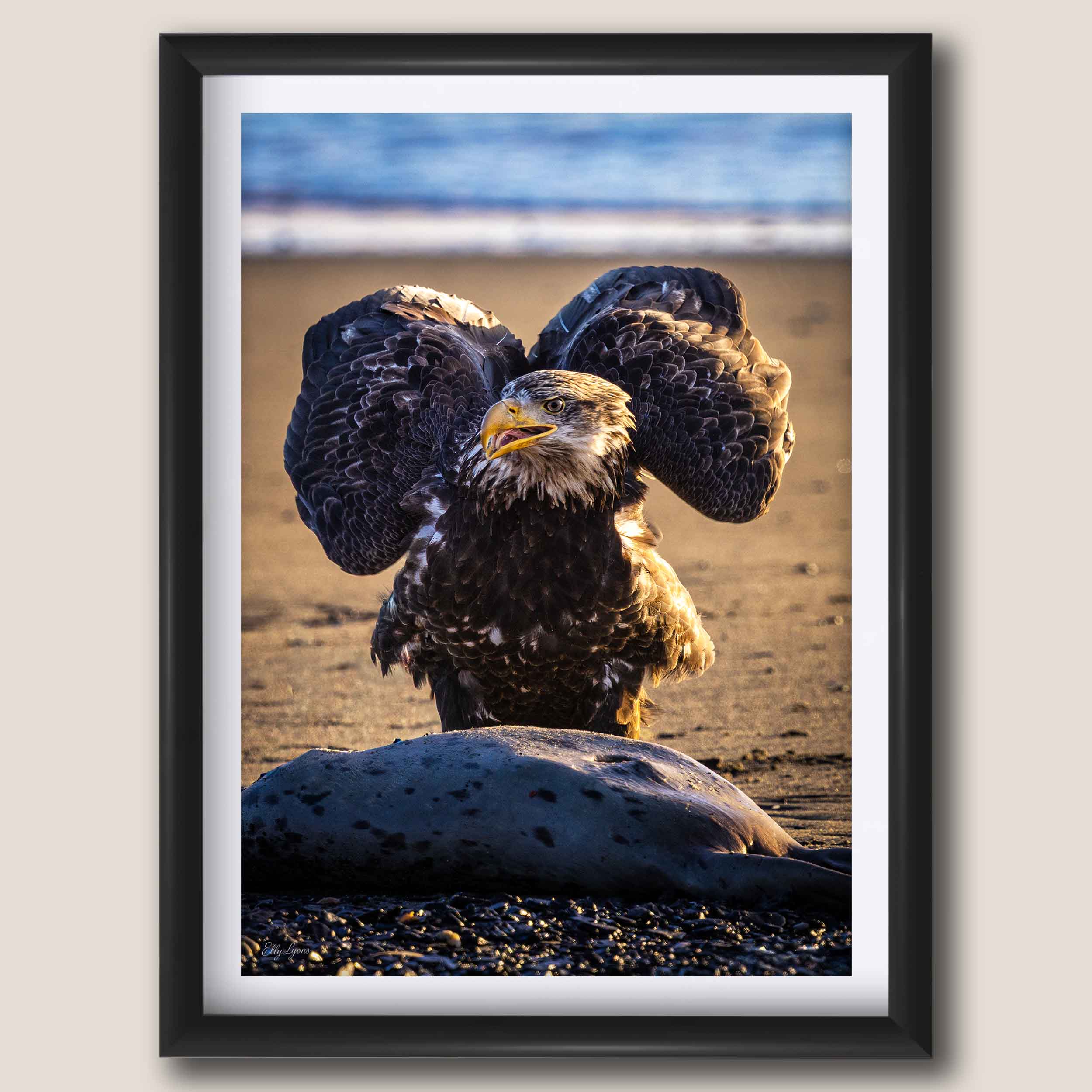 Bald Eagle “Unshaken, Unfailing"