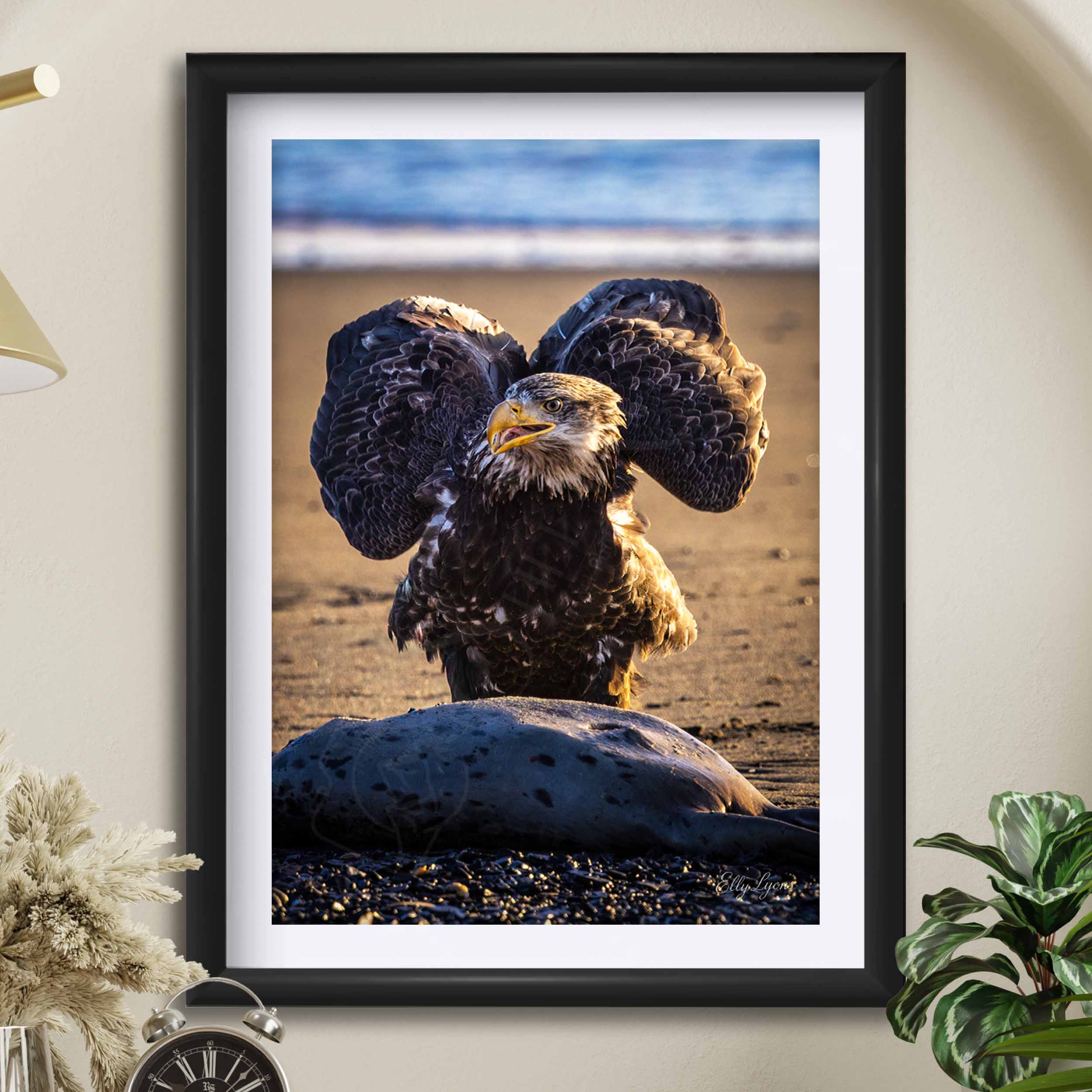 Bald Eagle “Unshaken, Unfailing"