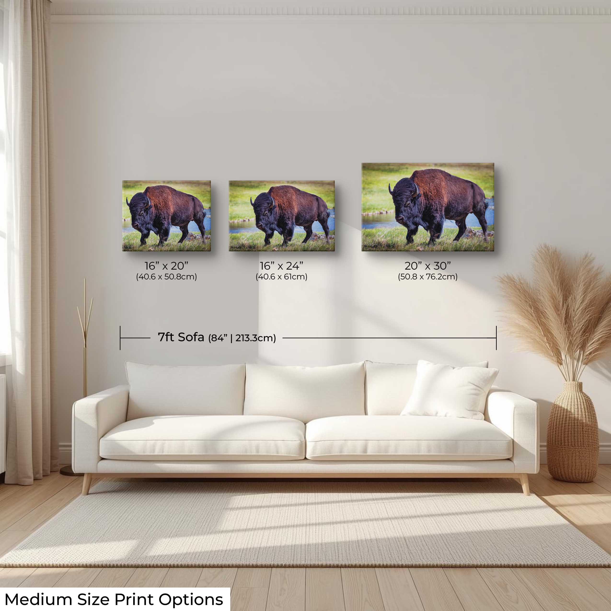 American Bison "Unmoved by the World"