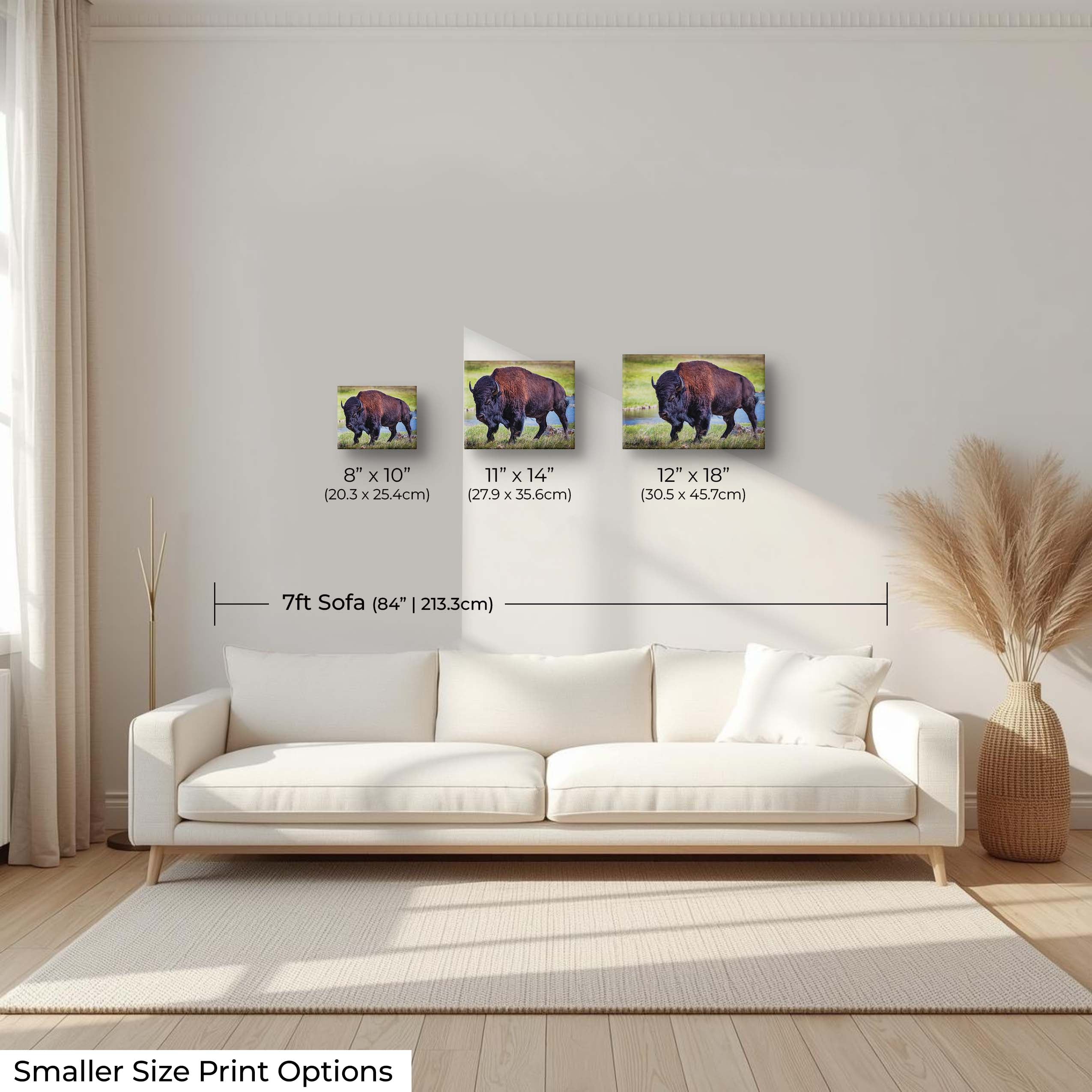 American Bison "Unmoved by the World"