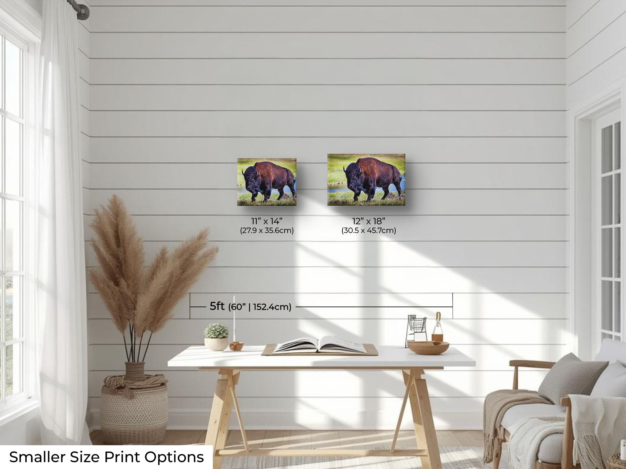 American Bison "Unmoved by the World"