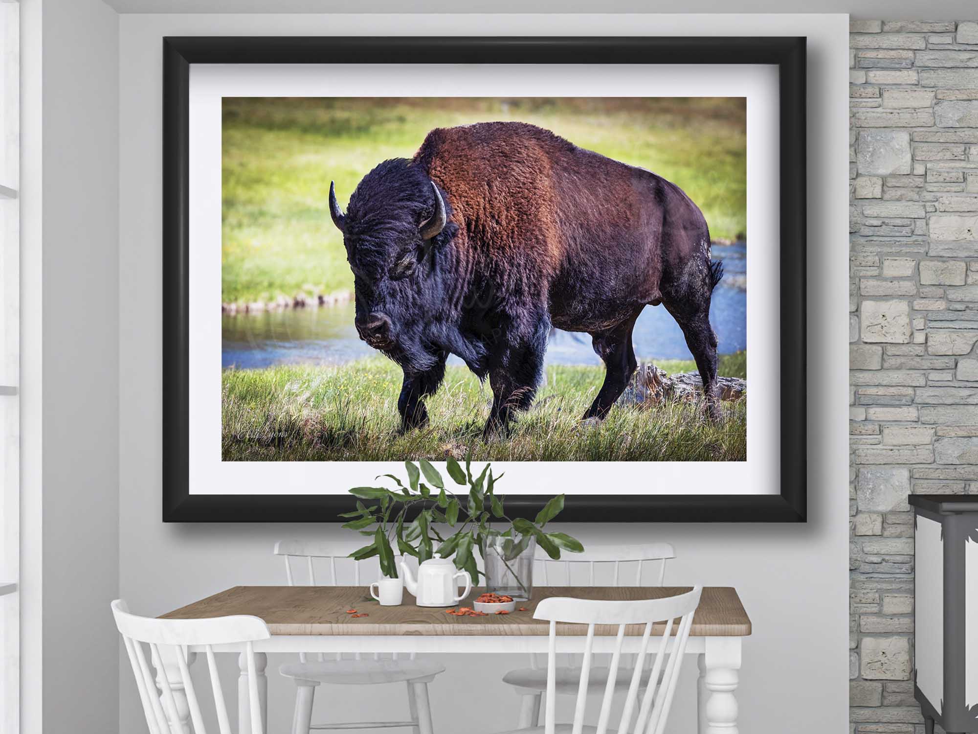 American Bison "Unmoved by the World"