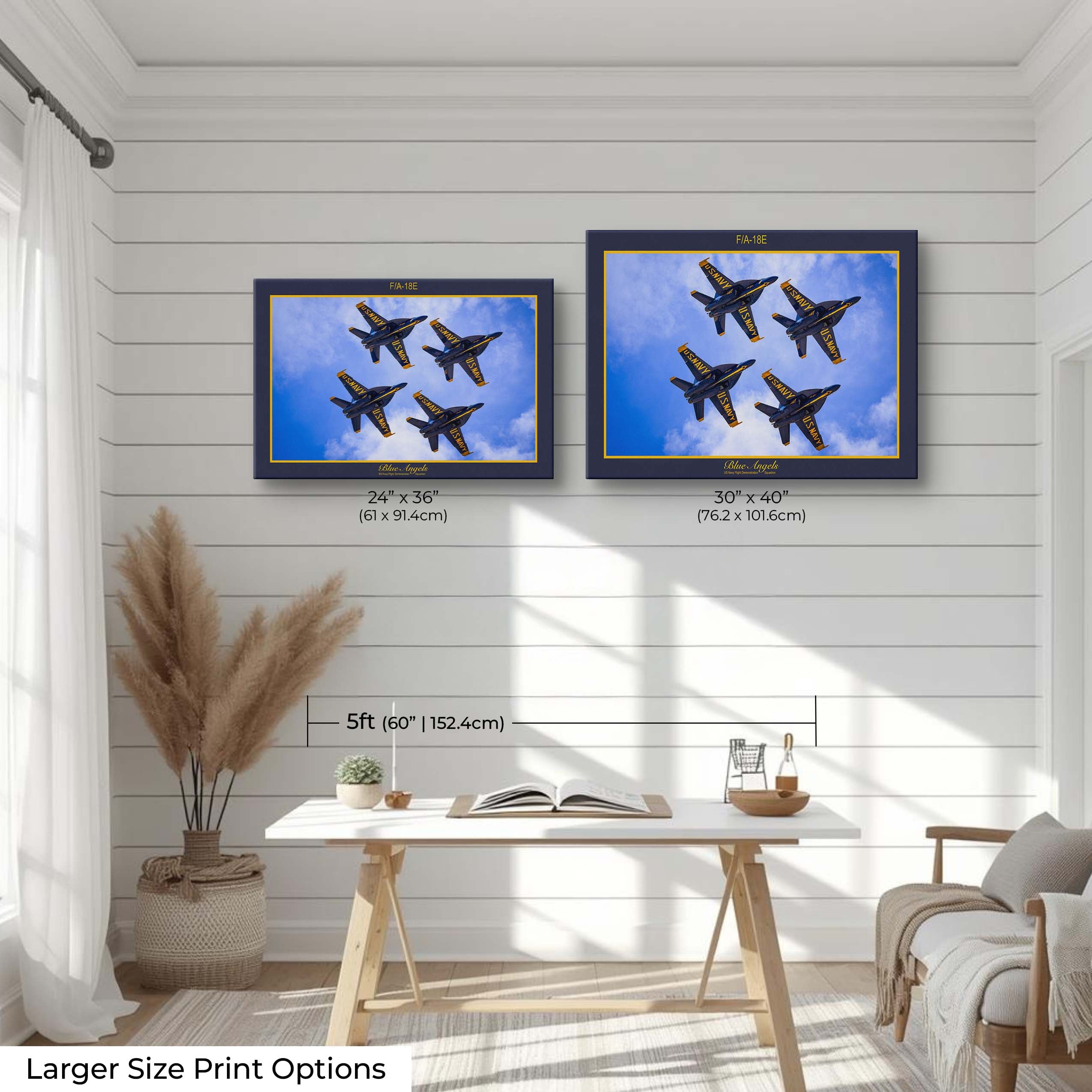 Blue Angels “Precision and Grace”