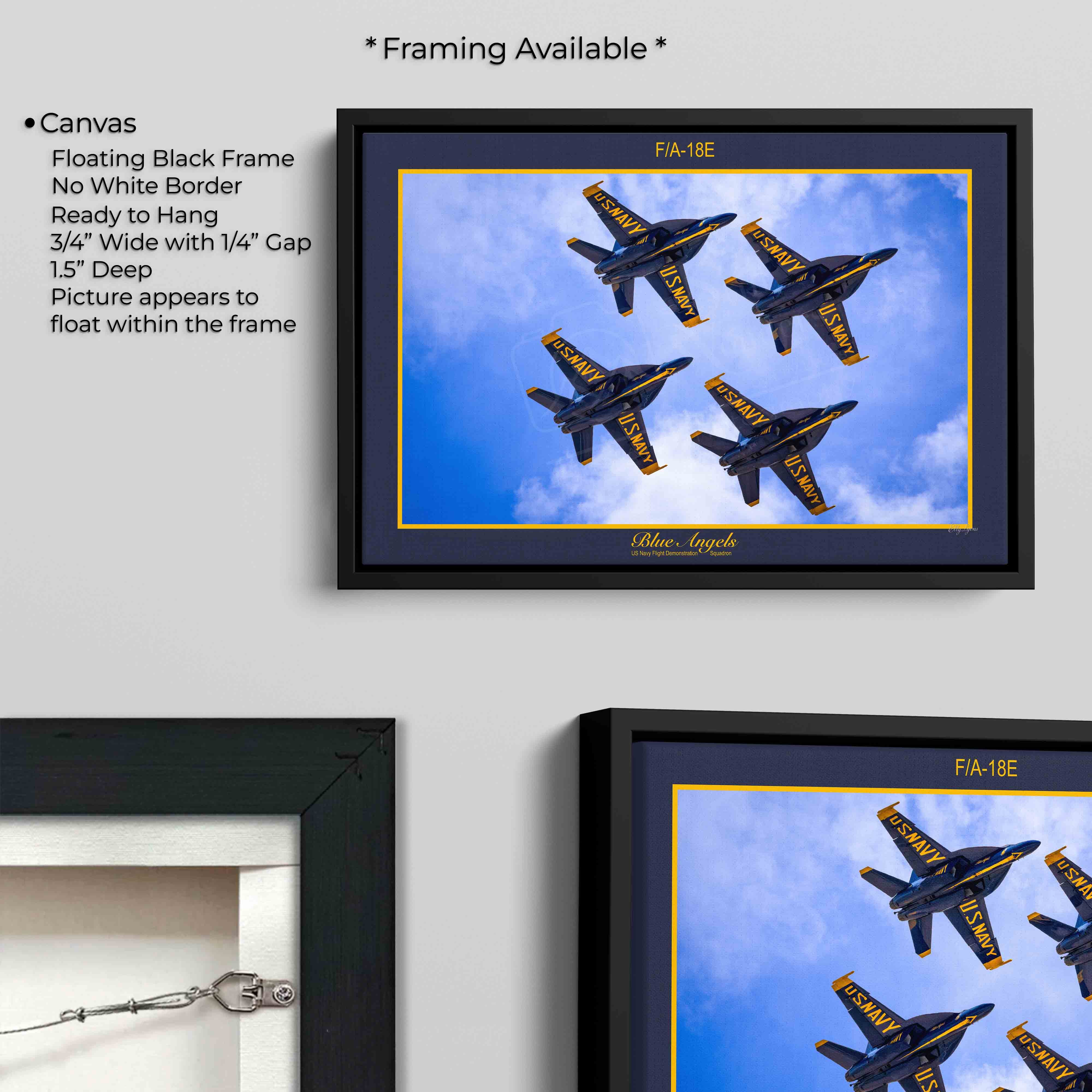 Blue Angels “Precision and Grace”