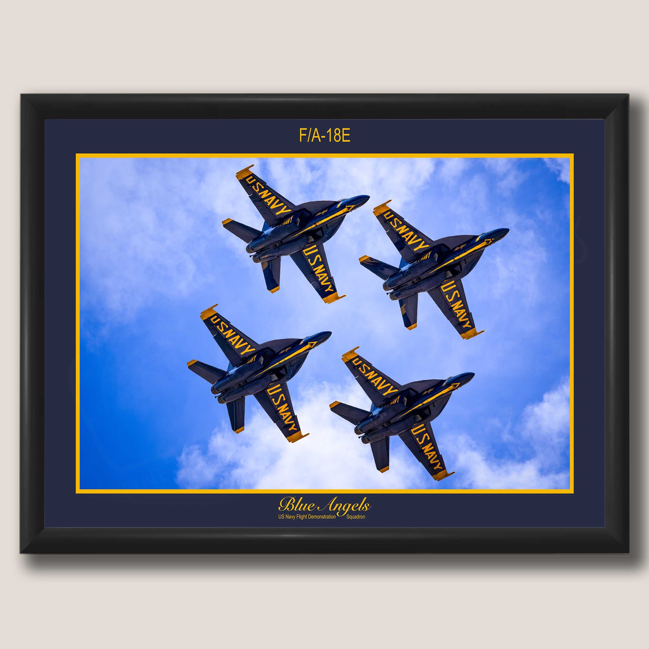 Blue Angels “Precision and Grace”