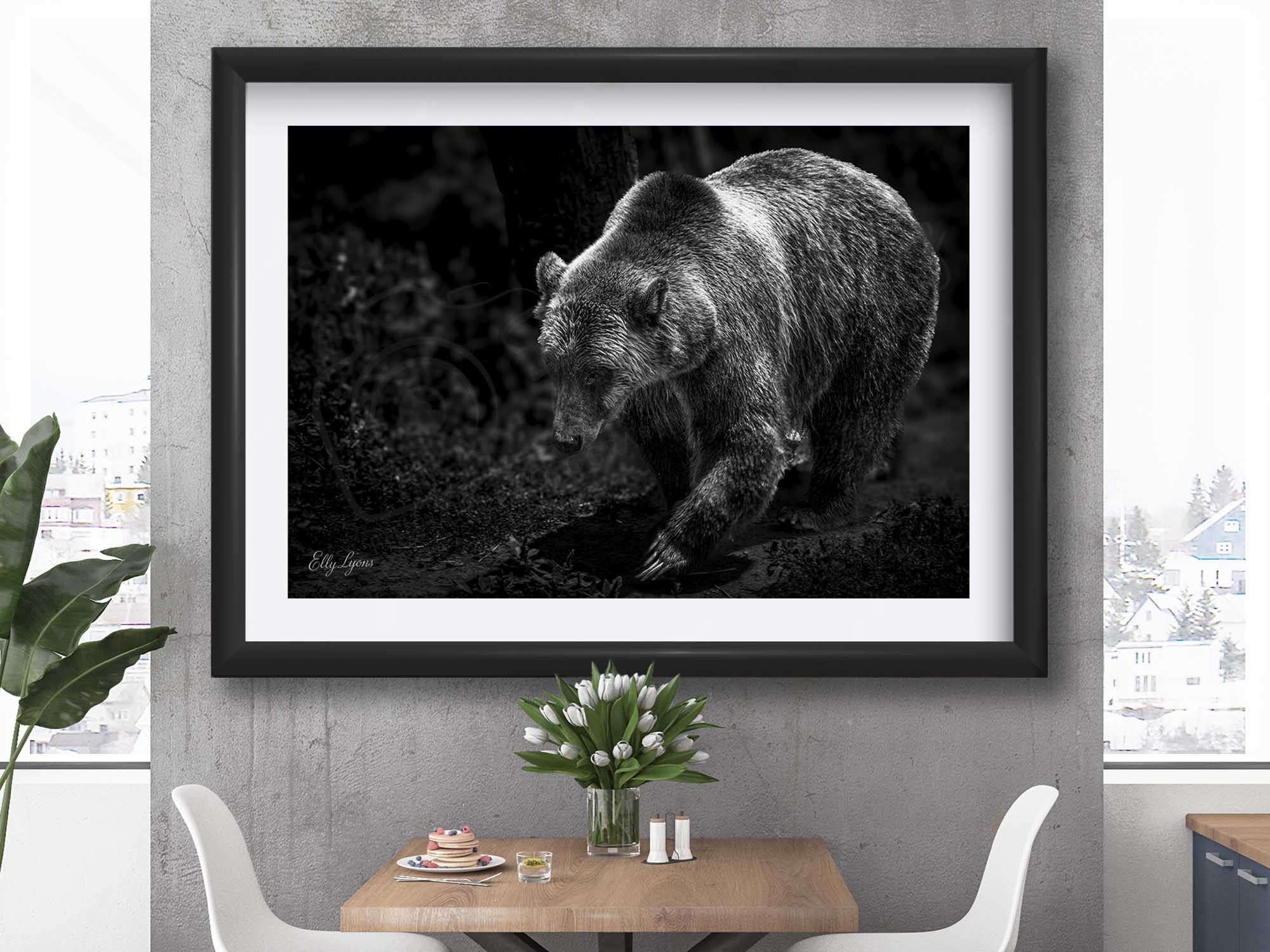 Grizzly Bear “Wild and Free”