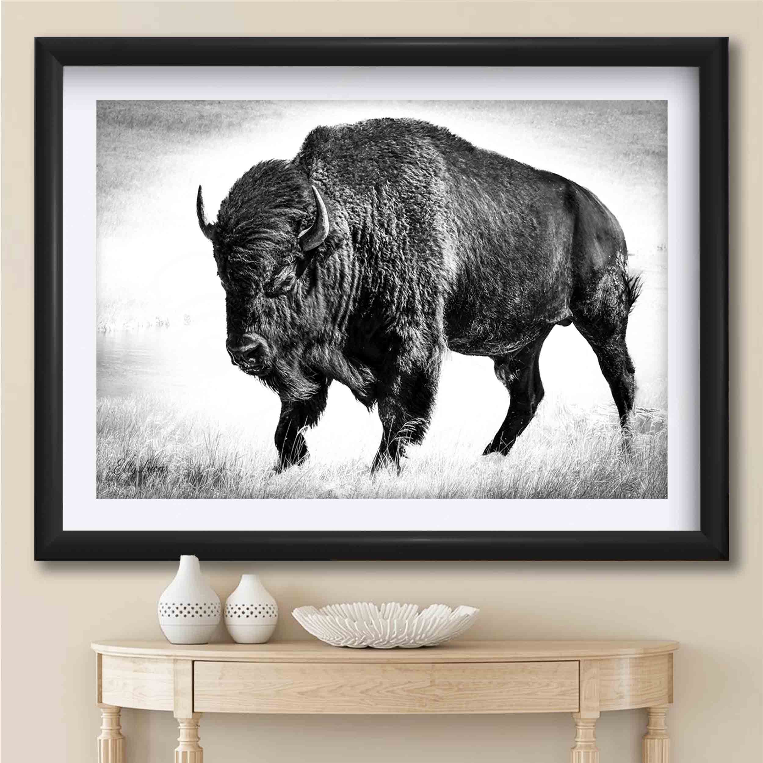 American Bison "Timeless Strength"