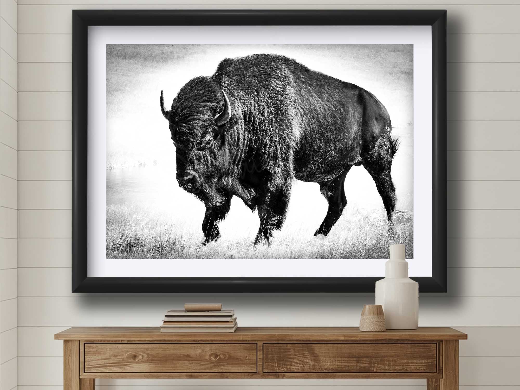 American Bison "Timeless Strength"