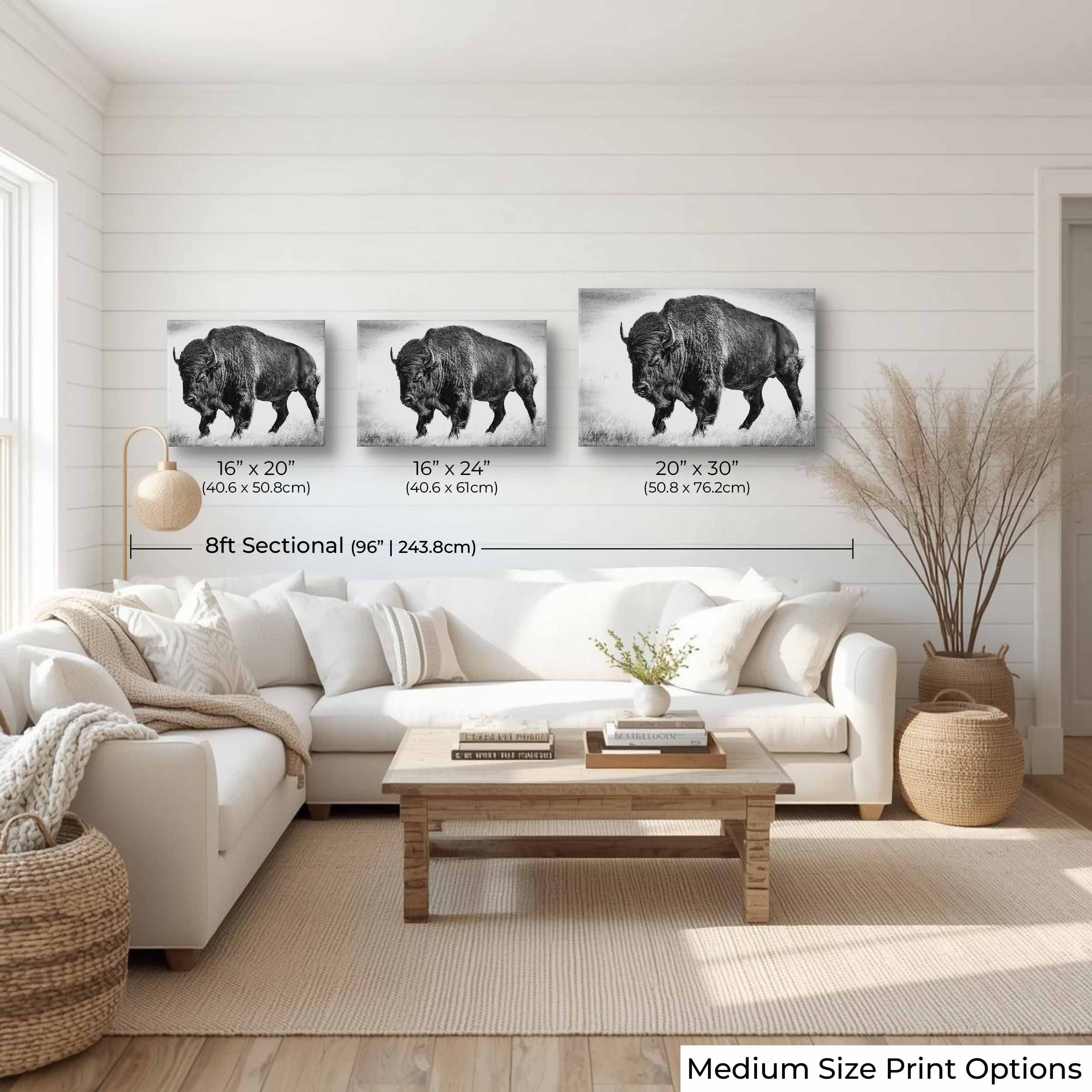 American Bison "Timeless Strength"