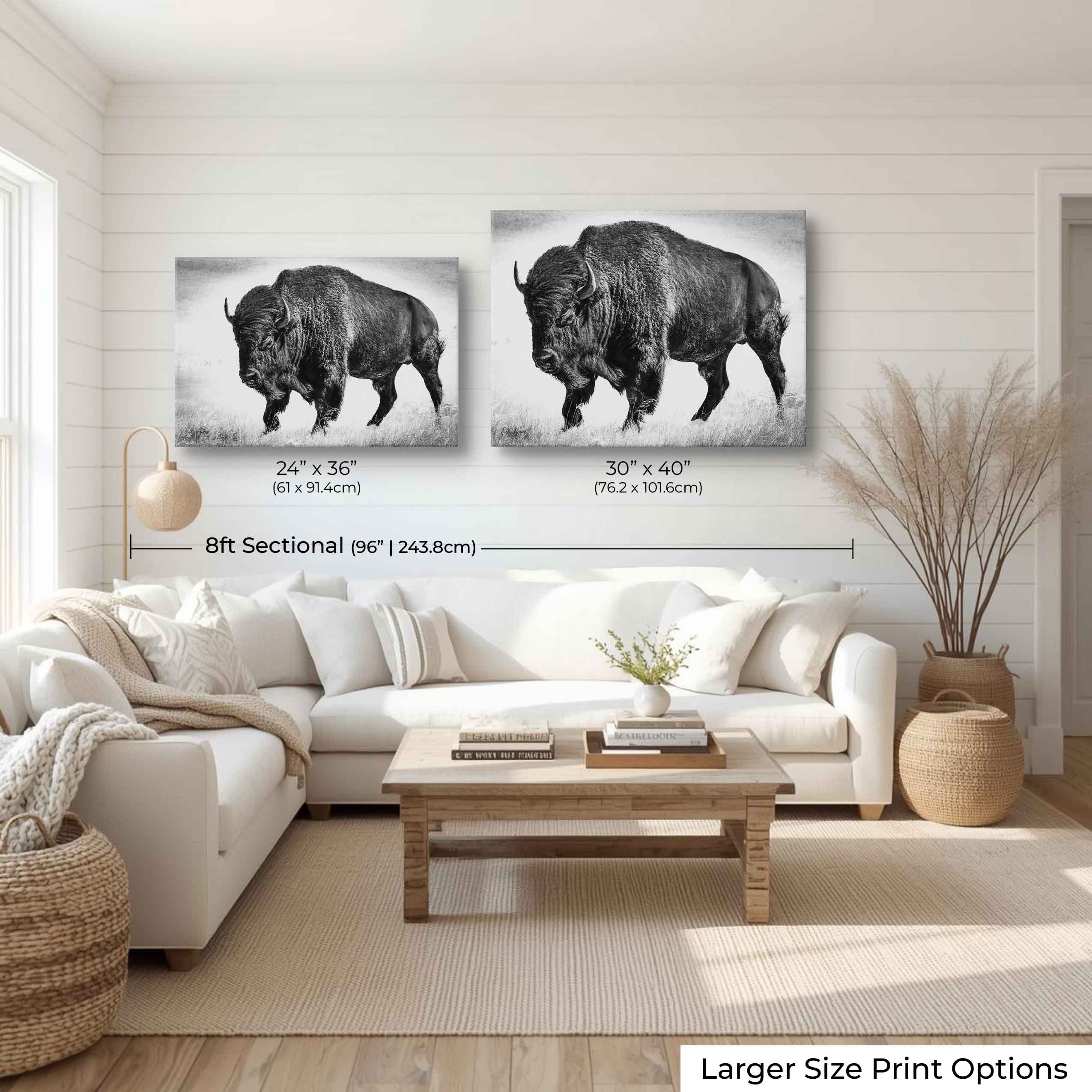 American Bison "Timeless Strength"
