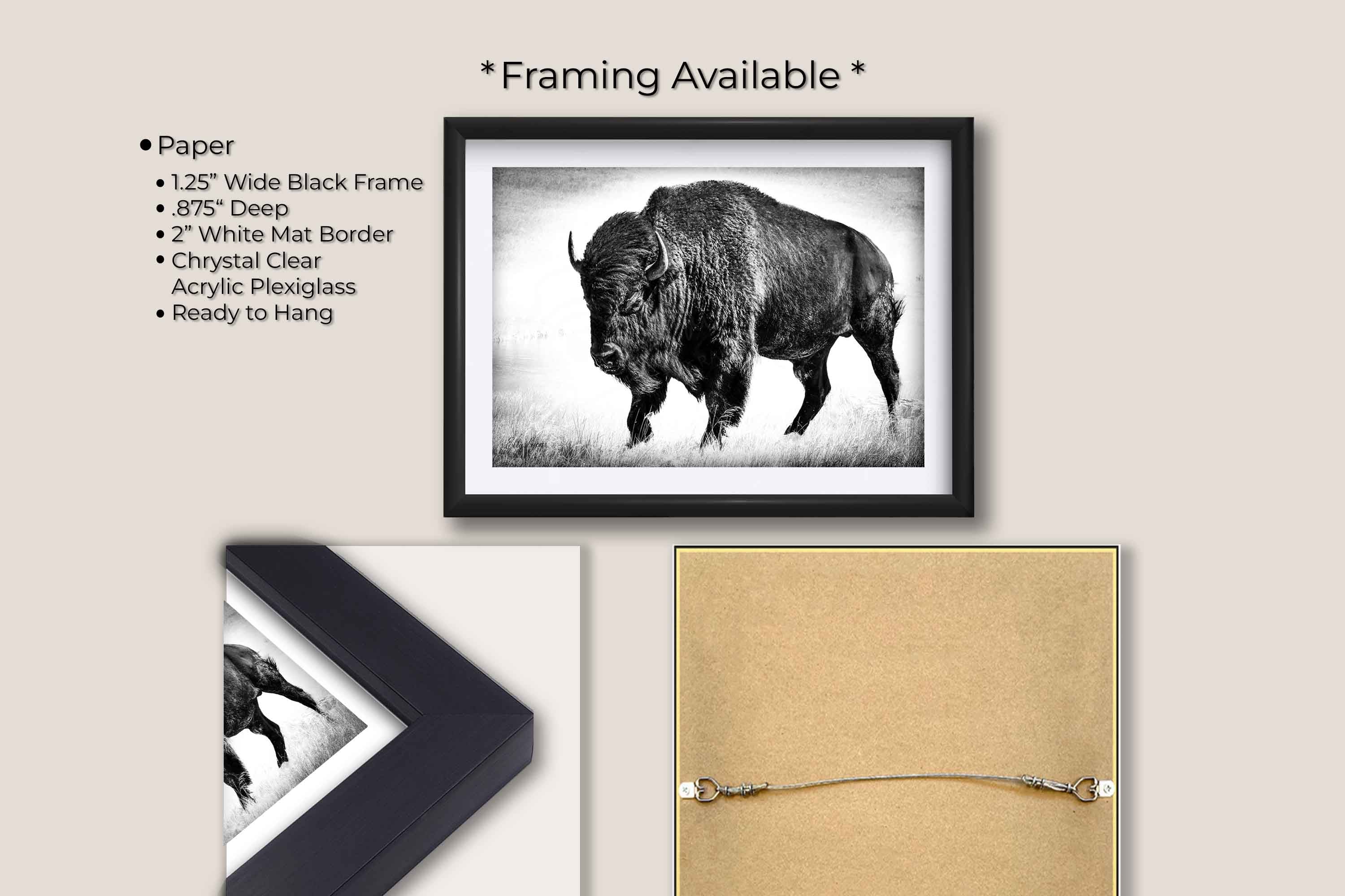 American Bison "Timeless Strength"