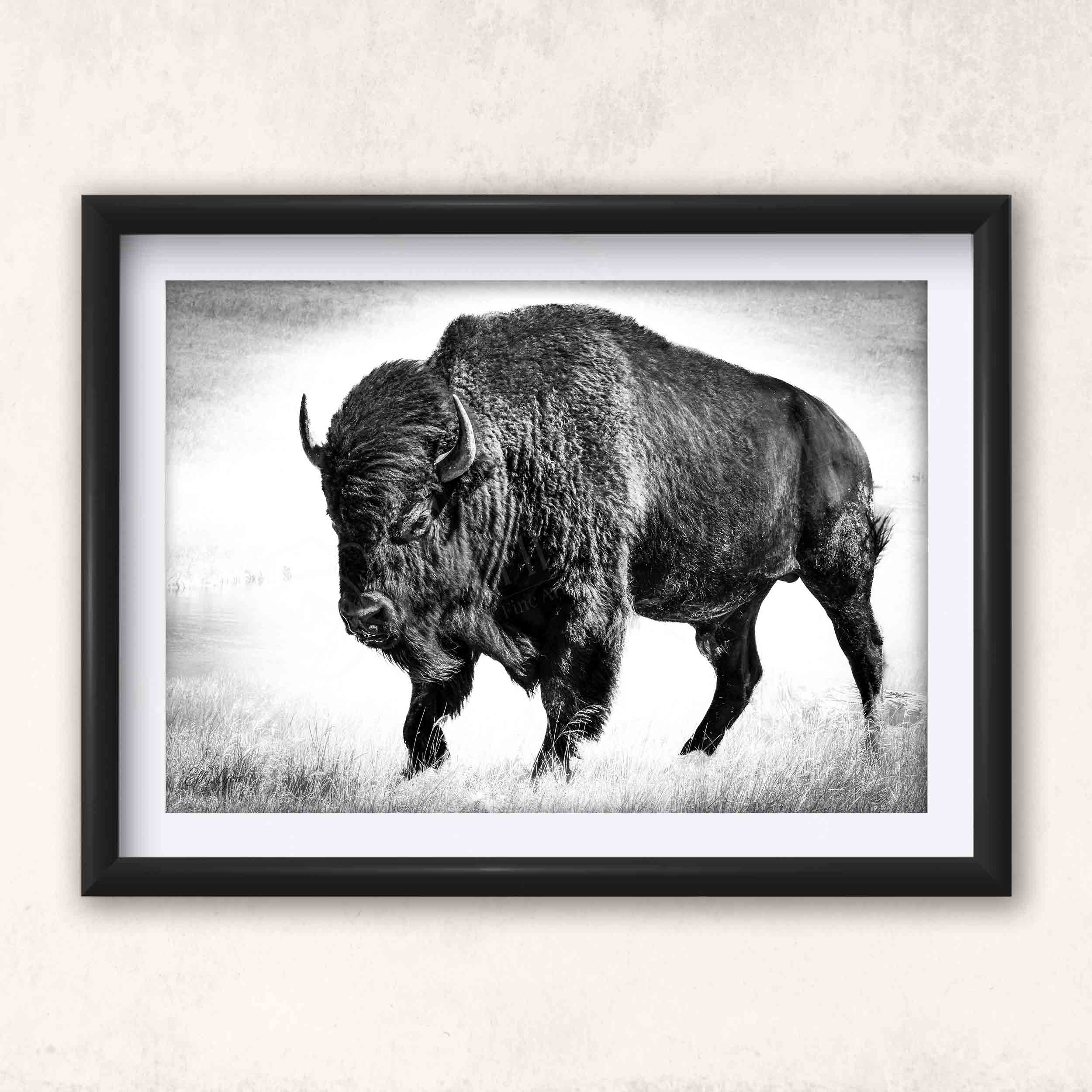 Buffalo Bison Art Print | My Store Rustic Western Decor – Faithful Lens ...
