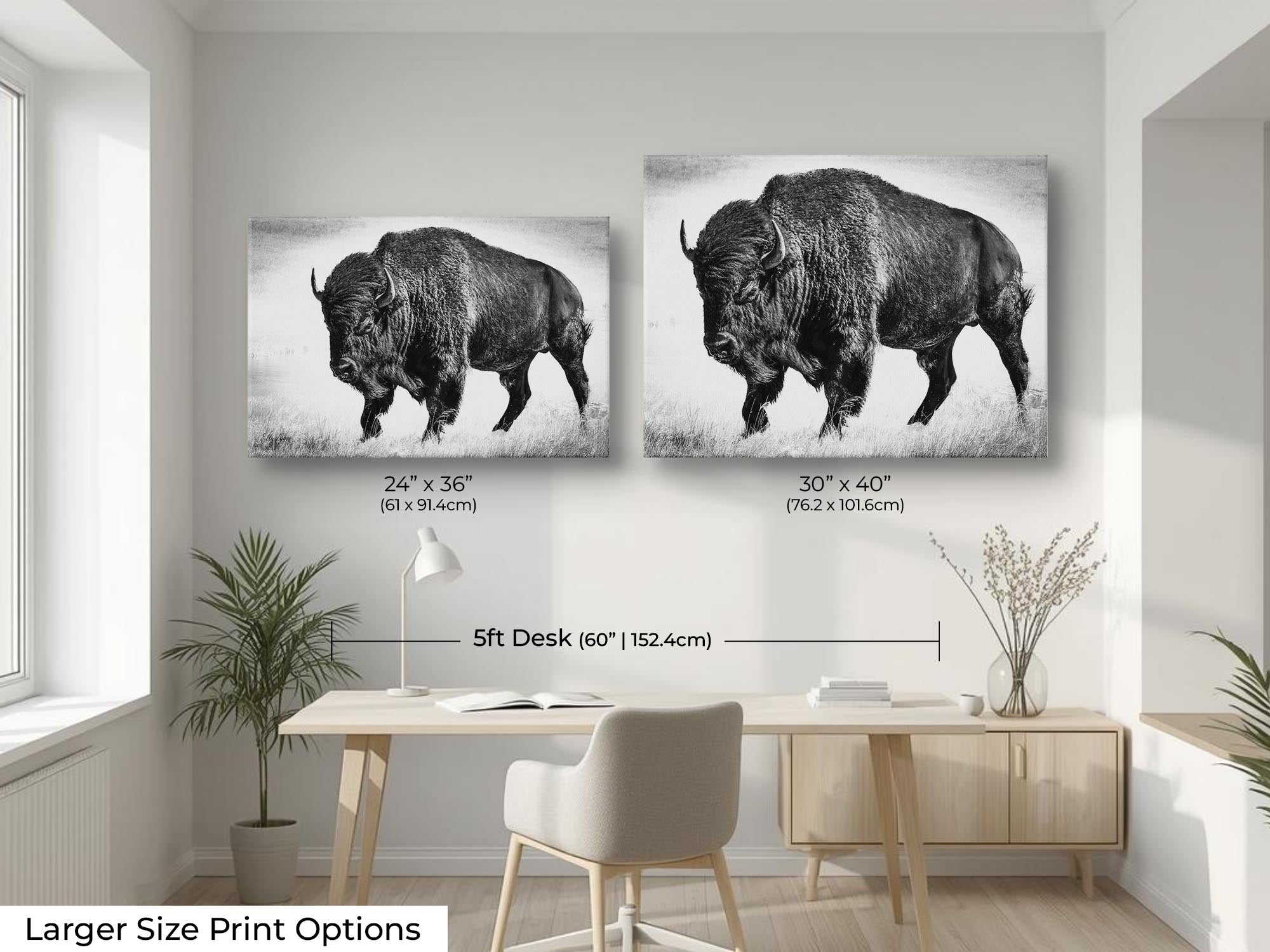 American Bison "Timeless Strength"