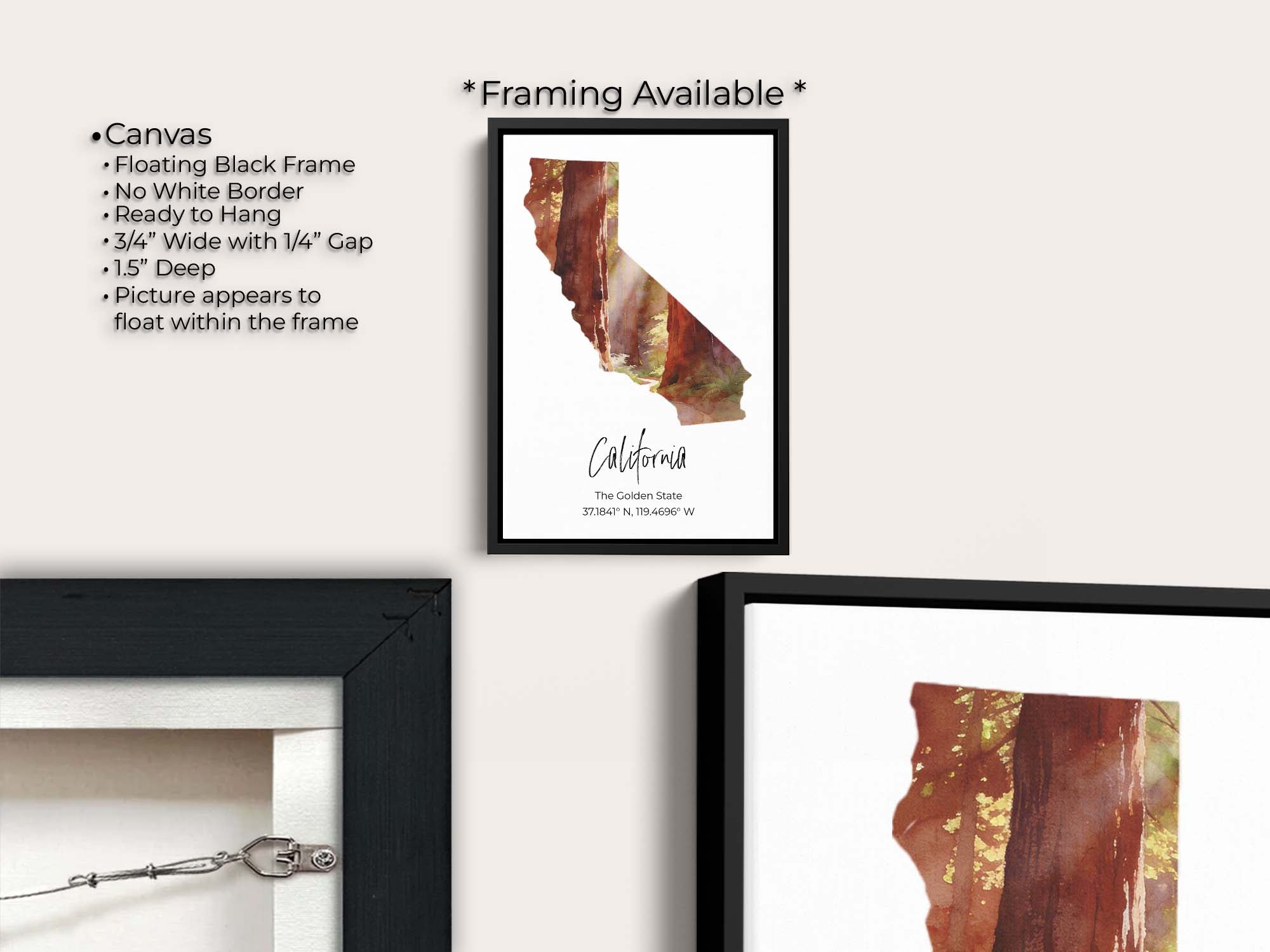 California watercolor state map with redwood forest wall art print canvas wall art in black float frame, canvas framing option details