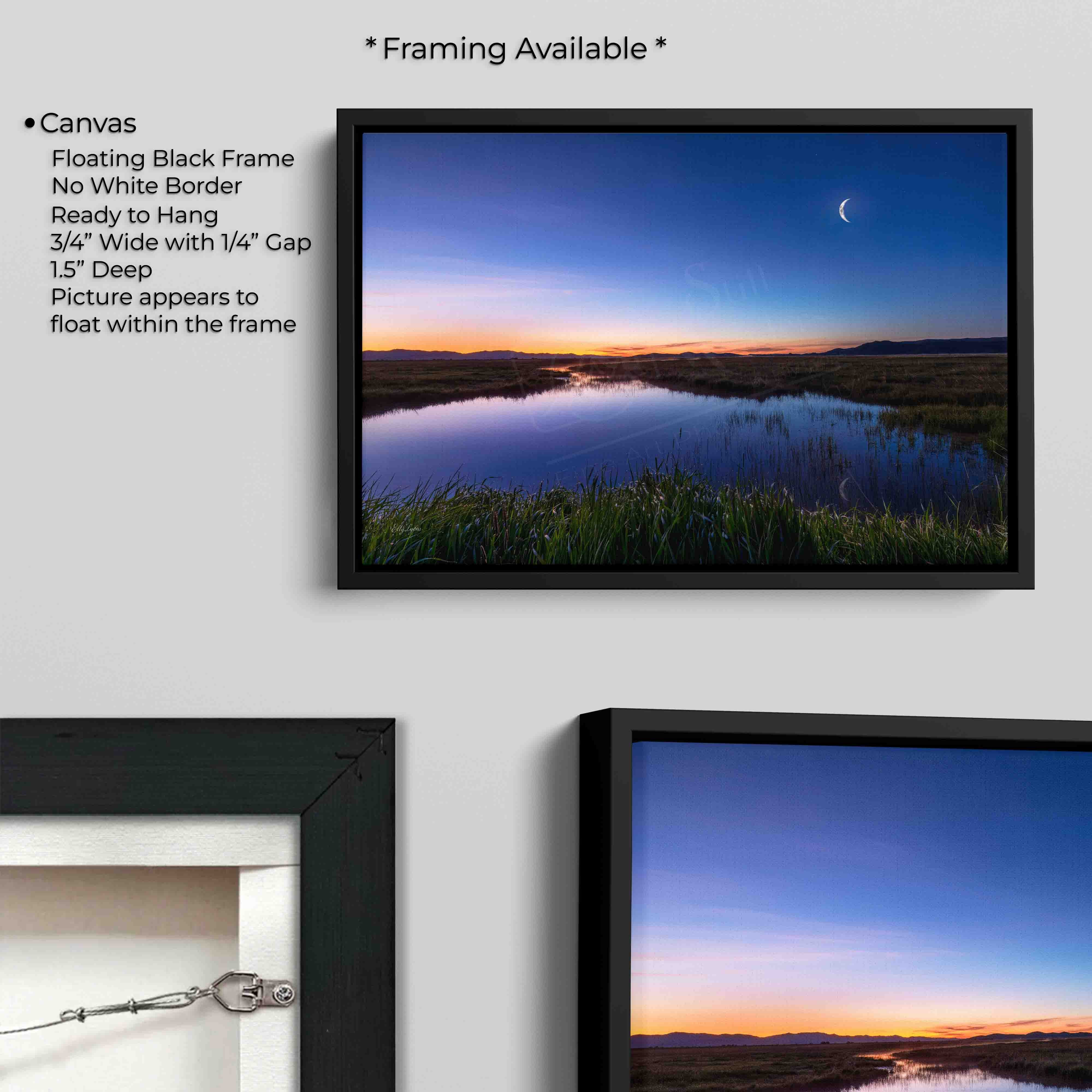 Camas Prairie Marsh “Moon Over Still Waters”