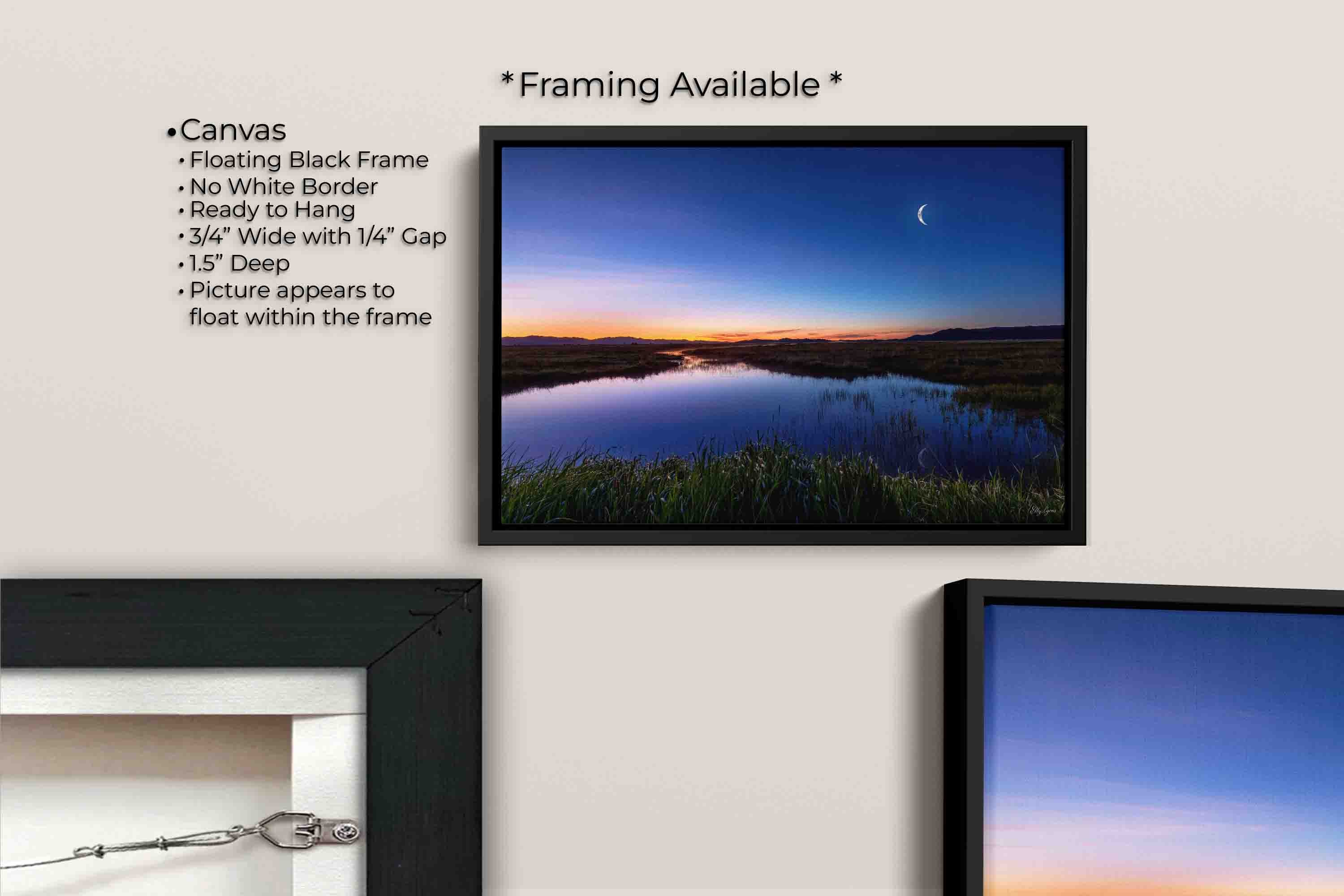 Camas Prairie Marsh in Idaho at sunrise with moon and stars fine art print canvas wall art in black float frame, canvas framing option details