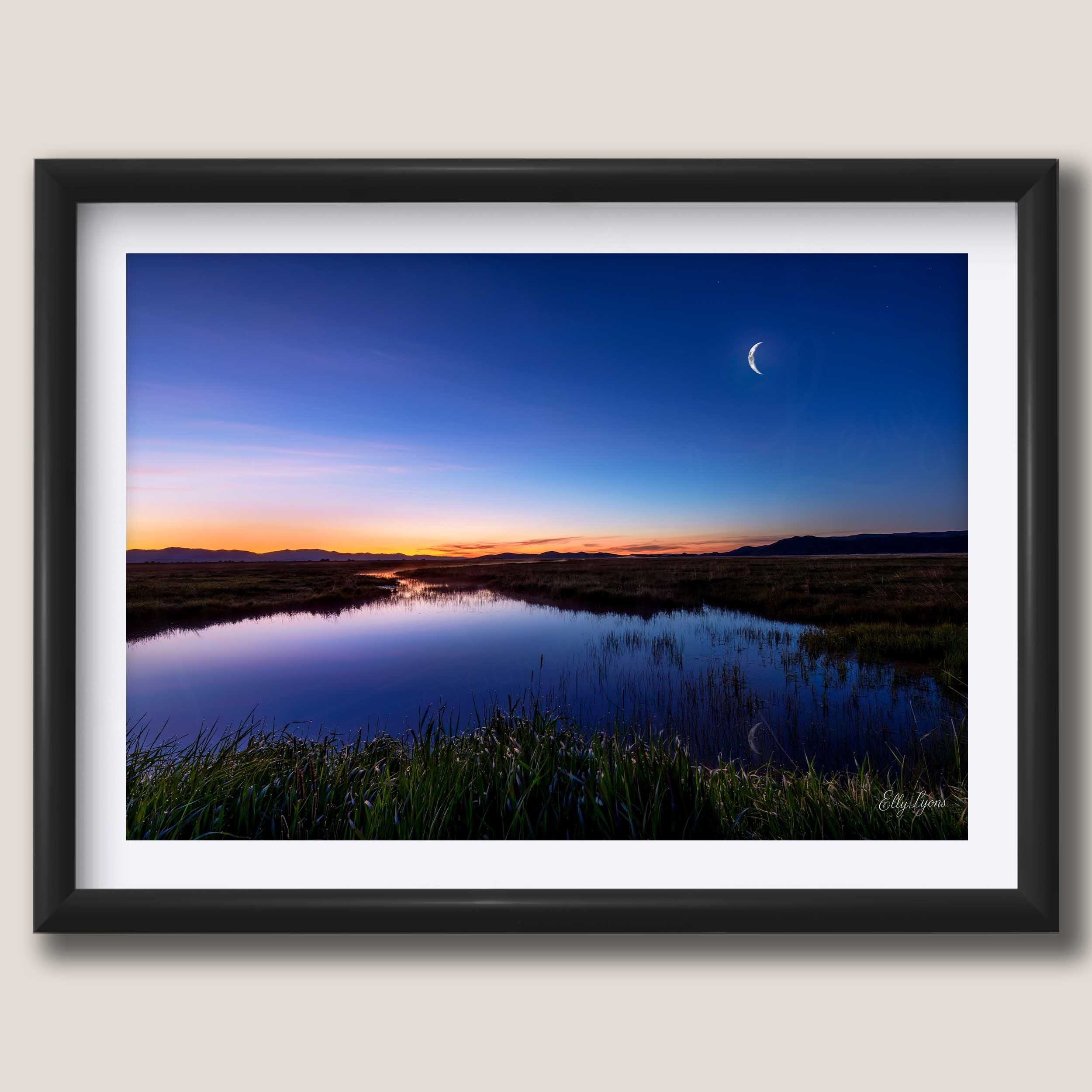 Camas Prairie Marsh “Moon Over Still Waters”