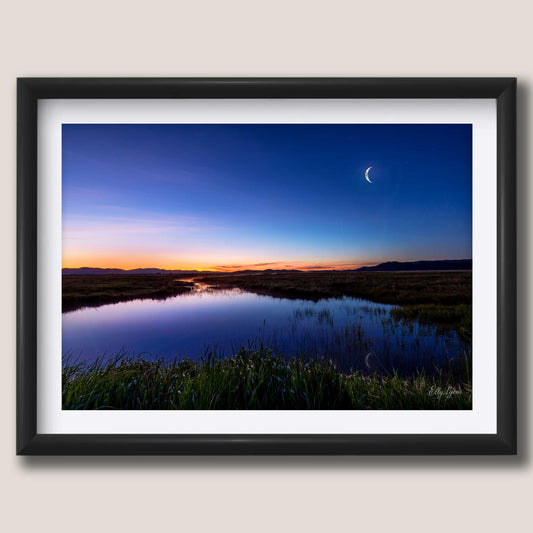 Camas Prairie Marsh “Moon Over Still Waters”