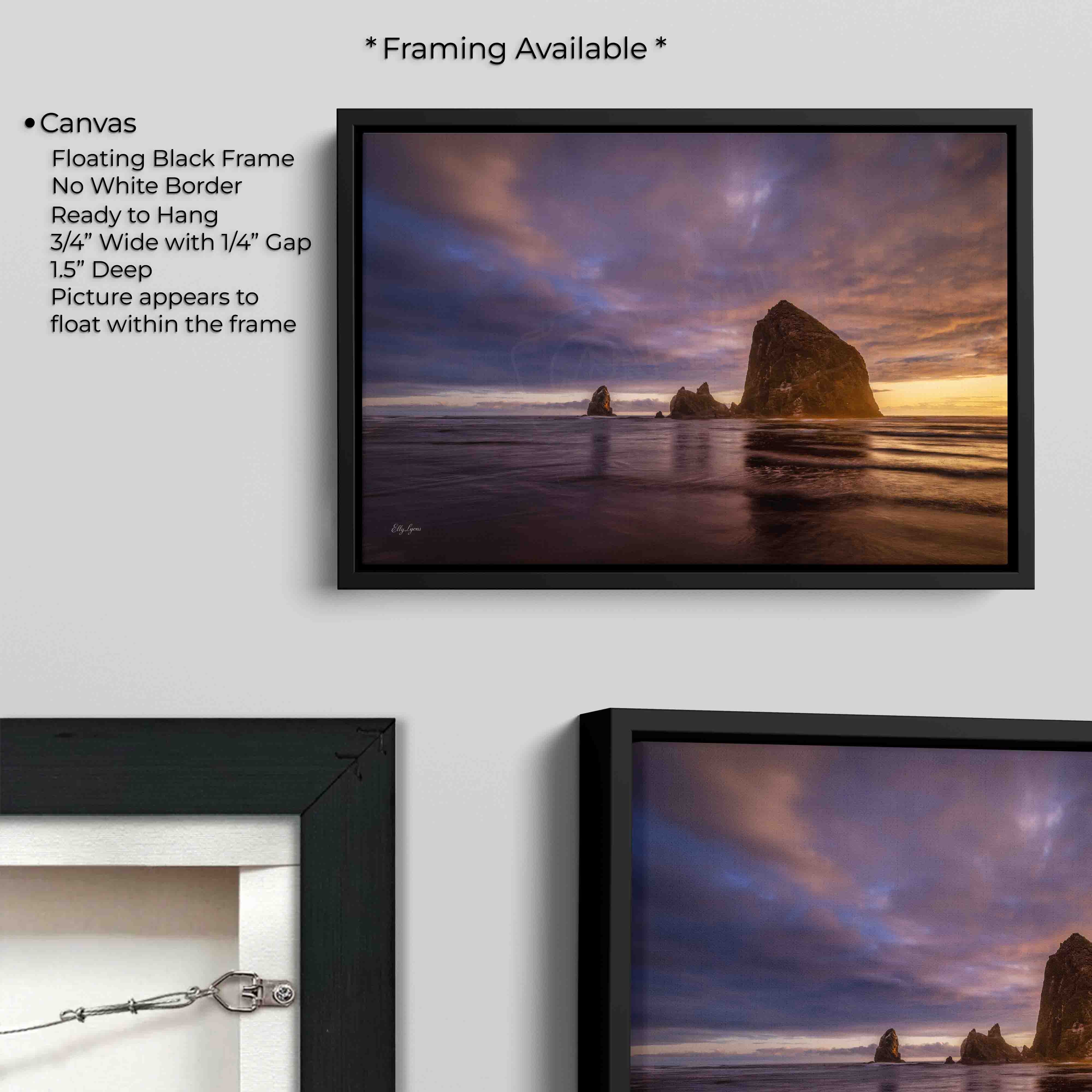 Haystack Rock "Refuge in the Chaos"